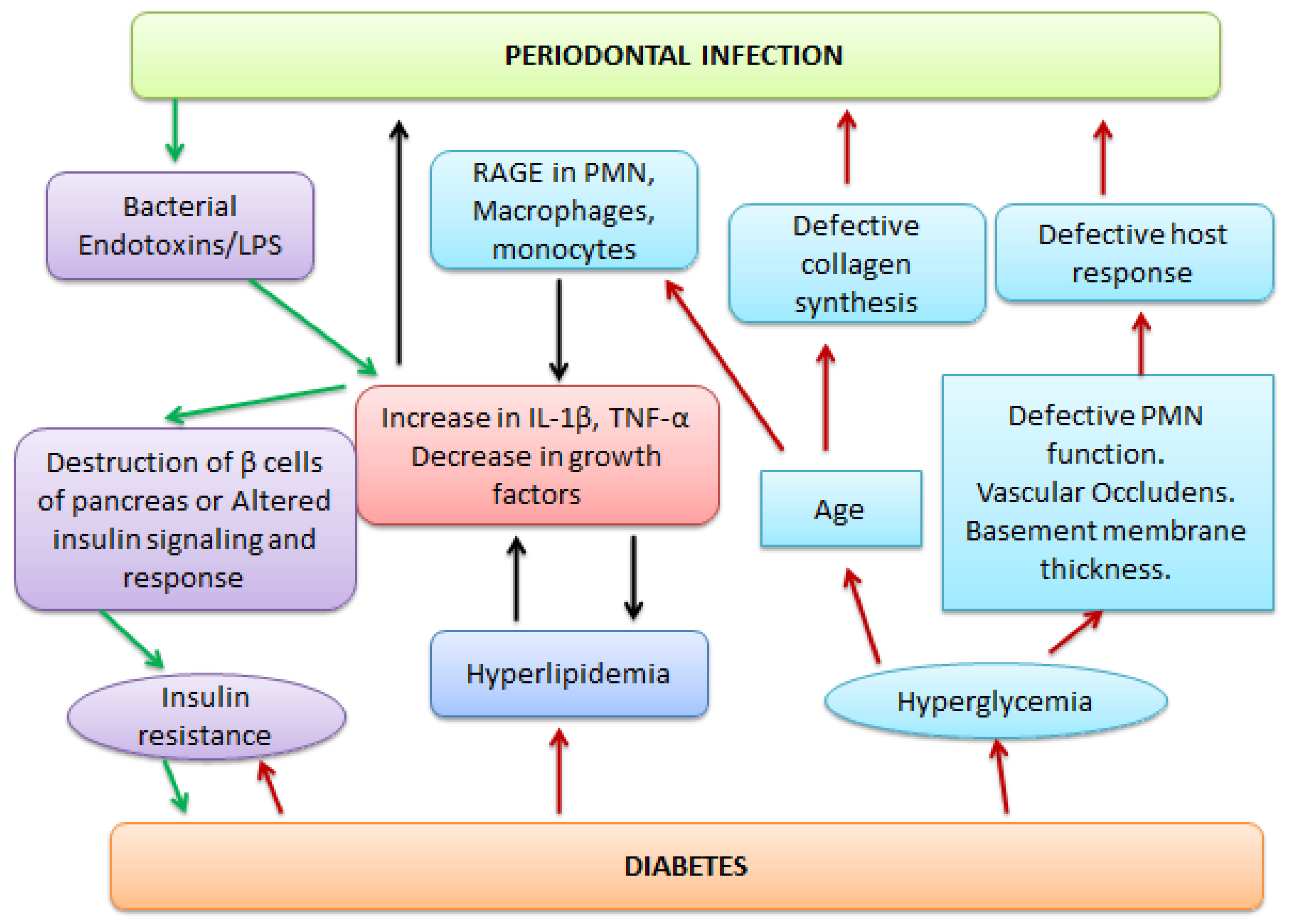 Pharmaceutics | Free Full-Text | Periodontitis and Systemic Disorder—An ...