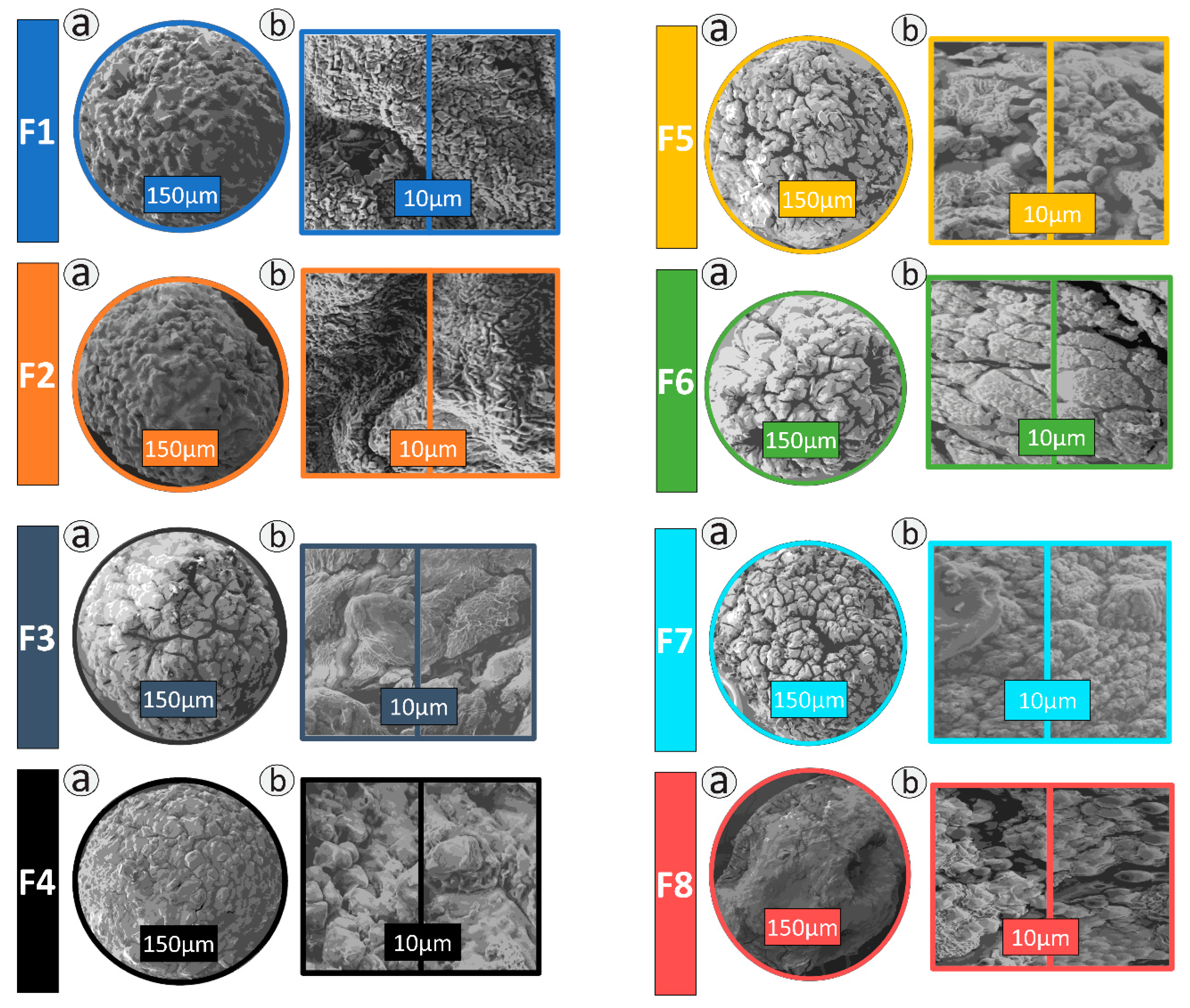 Pharmaceutics 13 01184 g001