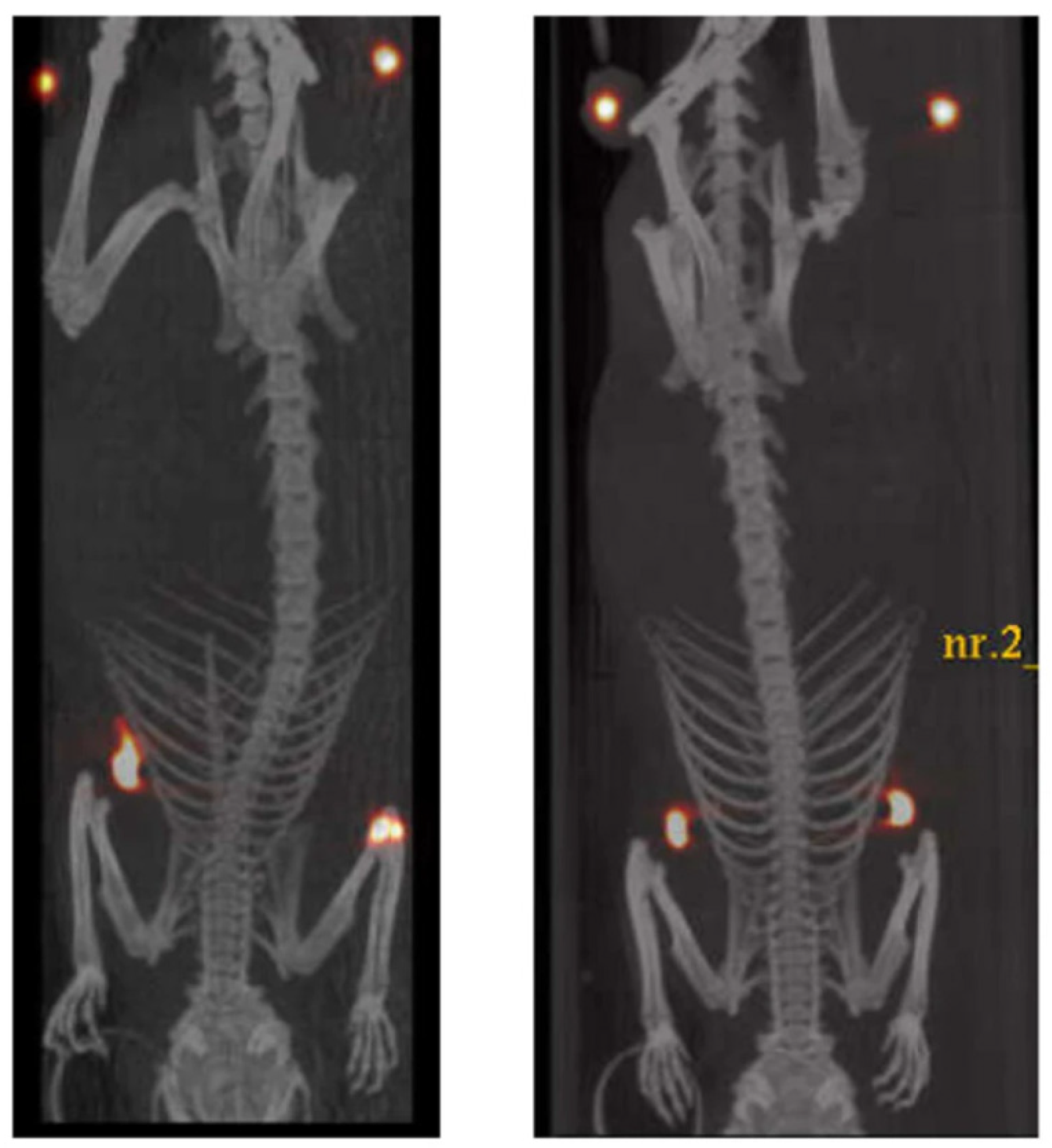 Pharmaceutics 13 01214 g004 Pharmaceutics 13 01214 g004