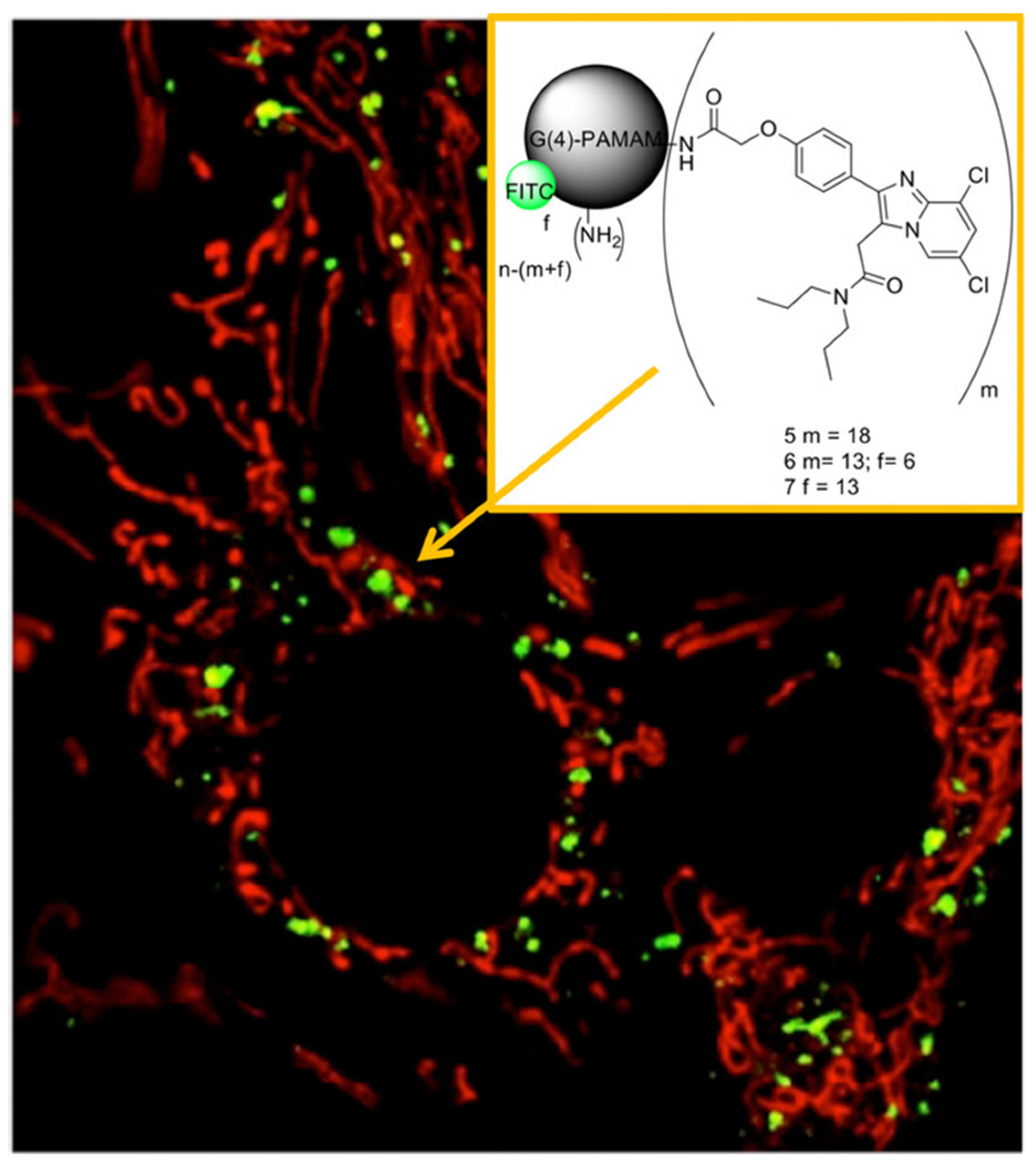 Pharmaceutics 13 01214 g007 Pharmaceutics 13 01214 g007