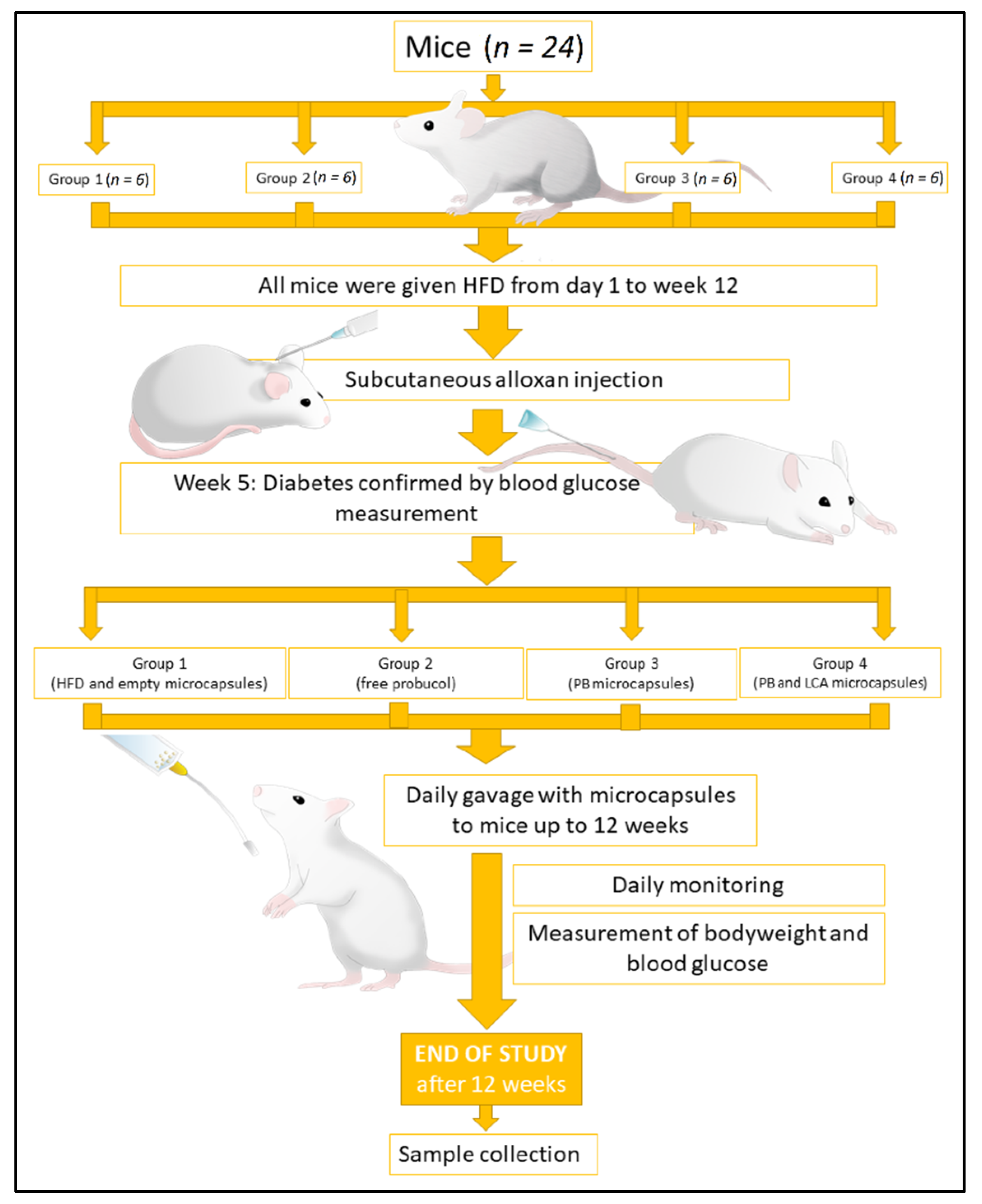 Pharmaceutics 13 01223 g001