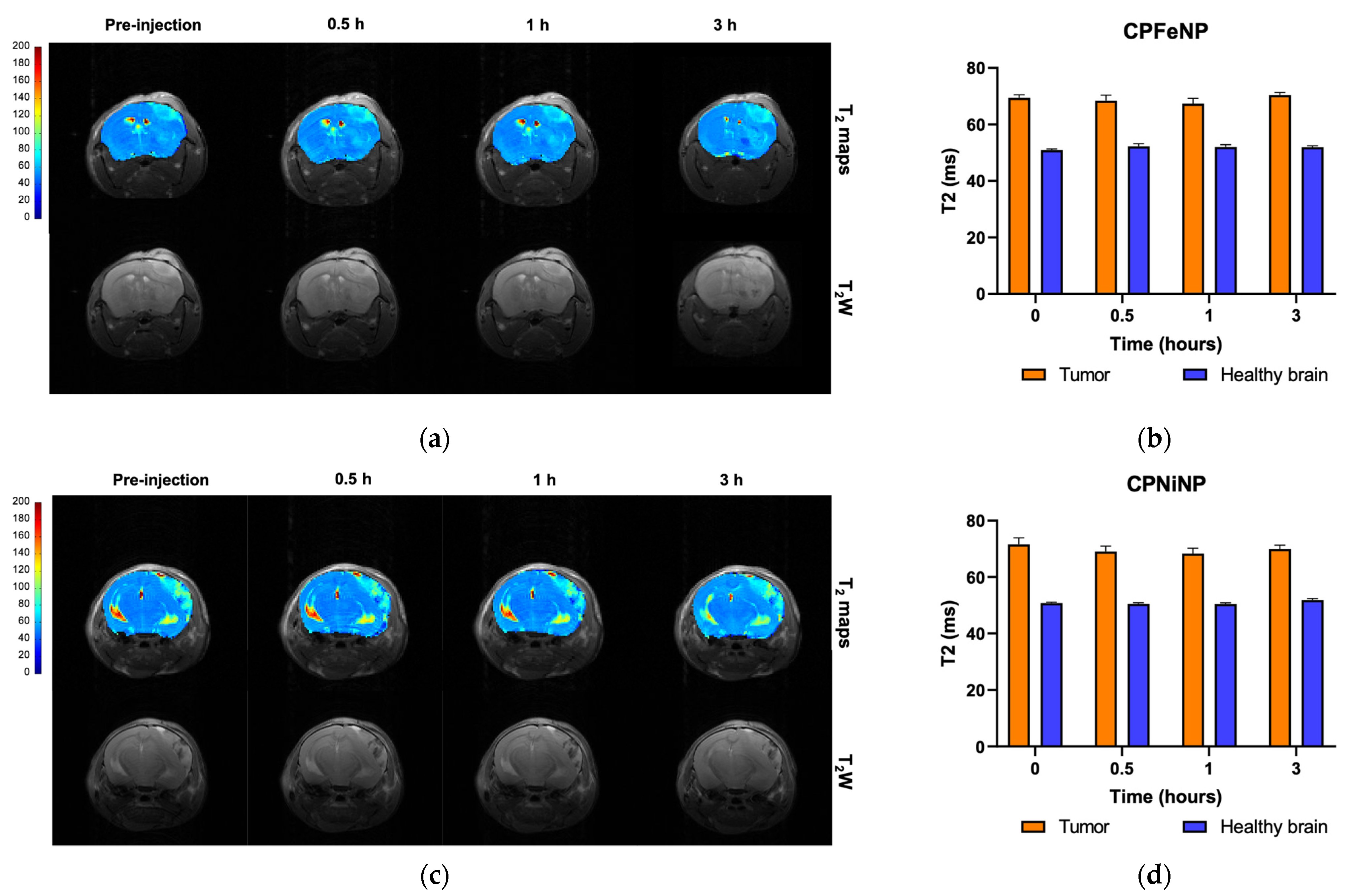 Pharmaceutics 13 01258 g005