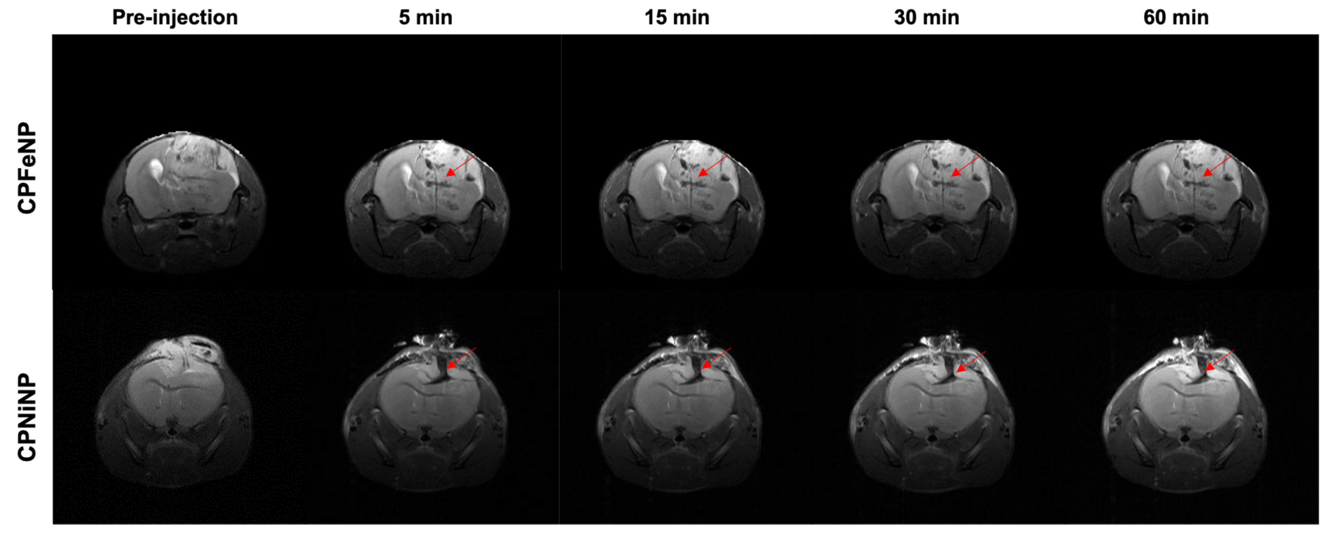 Pharmaceutics 13 01258 g006