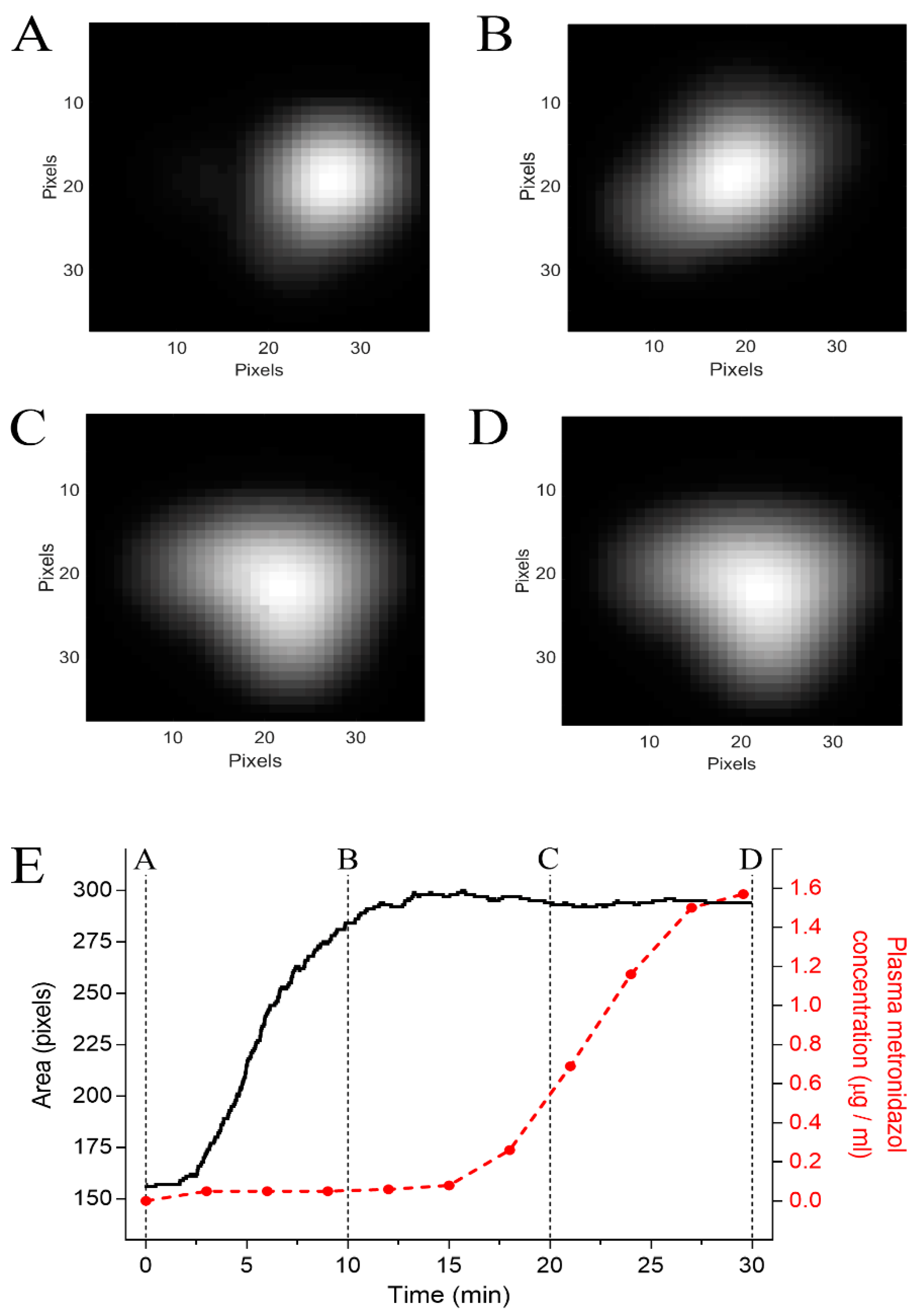Pharmaceutics 13 01274 g004 Pharmaceutics 13 01274 g004