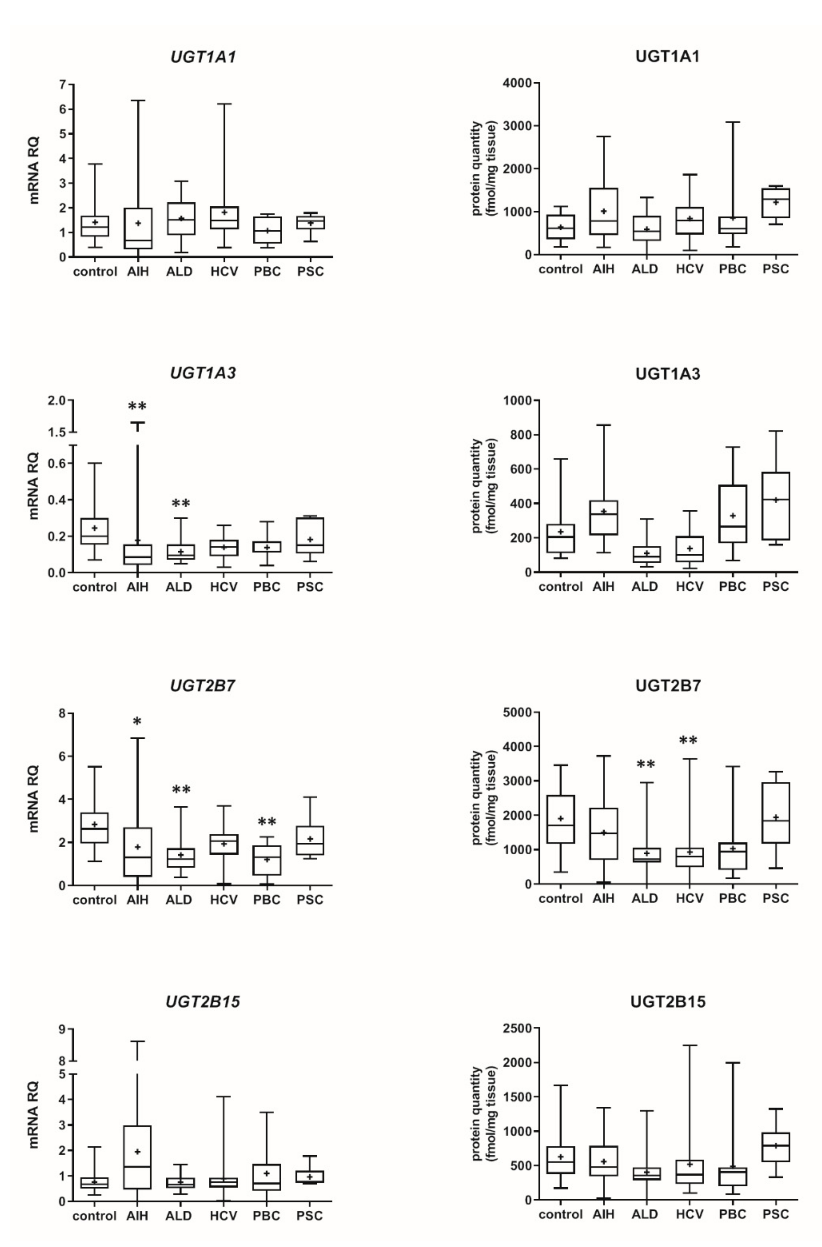Pharmaceutics 13 01334 g005