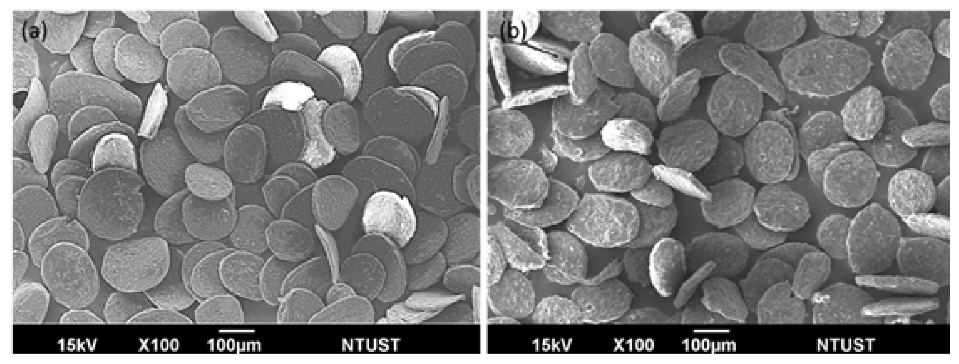 https://www.mdpi.com/pharmaceutics/pharmaceutics-13-01348/article_deploy/html/images/pharmaceutics-13-01348-g001.png