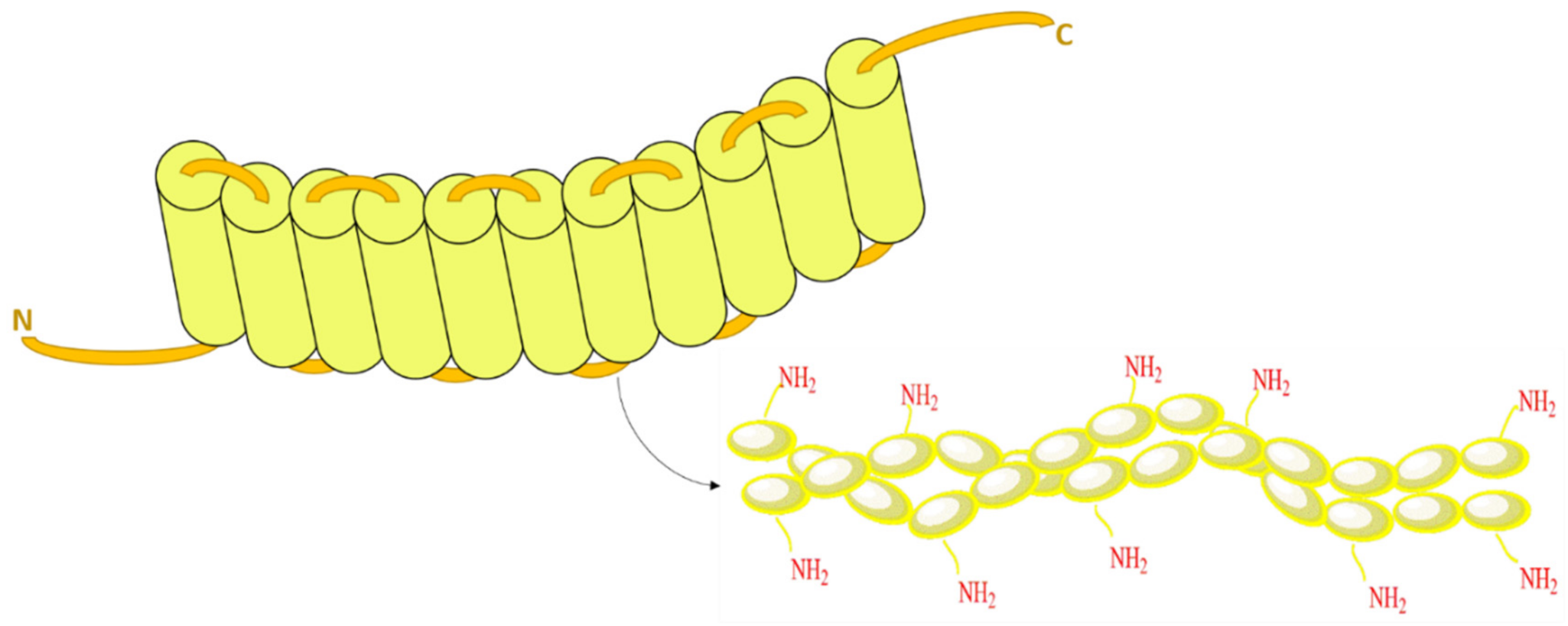 Pharmaceutics 13 01354 g001