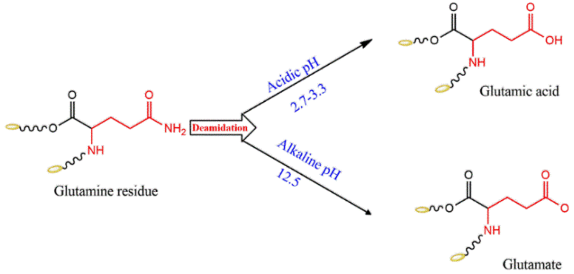 Pharmaceutics 13 01354 g003