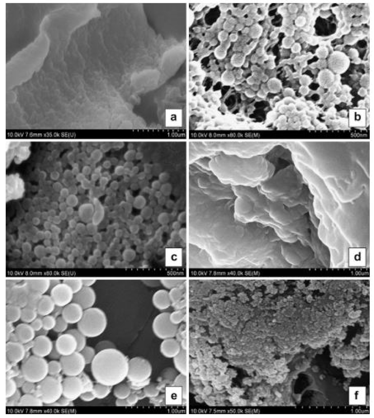 Pharmaceutics 13 01354 g007