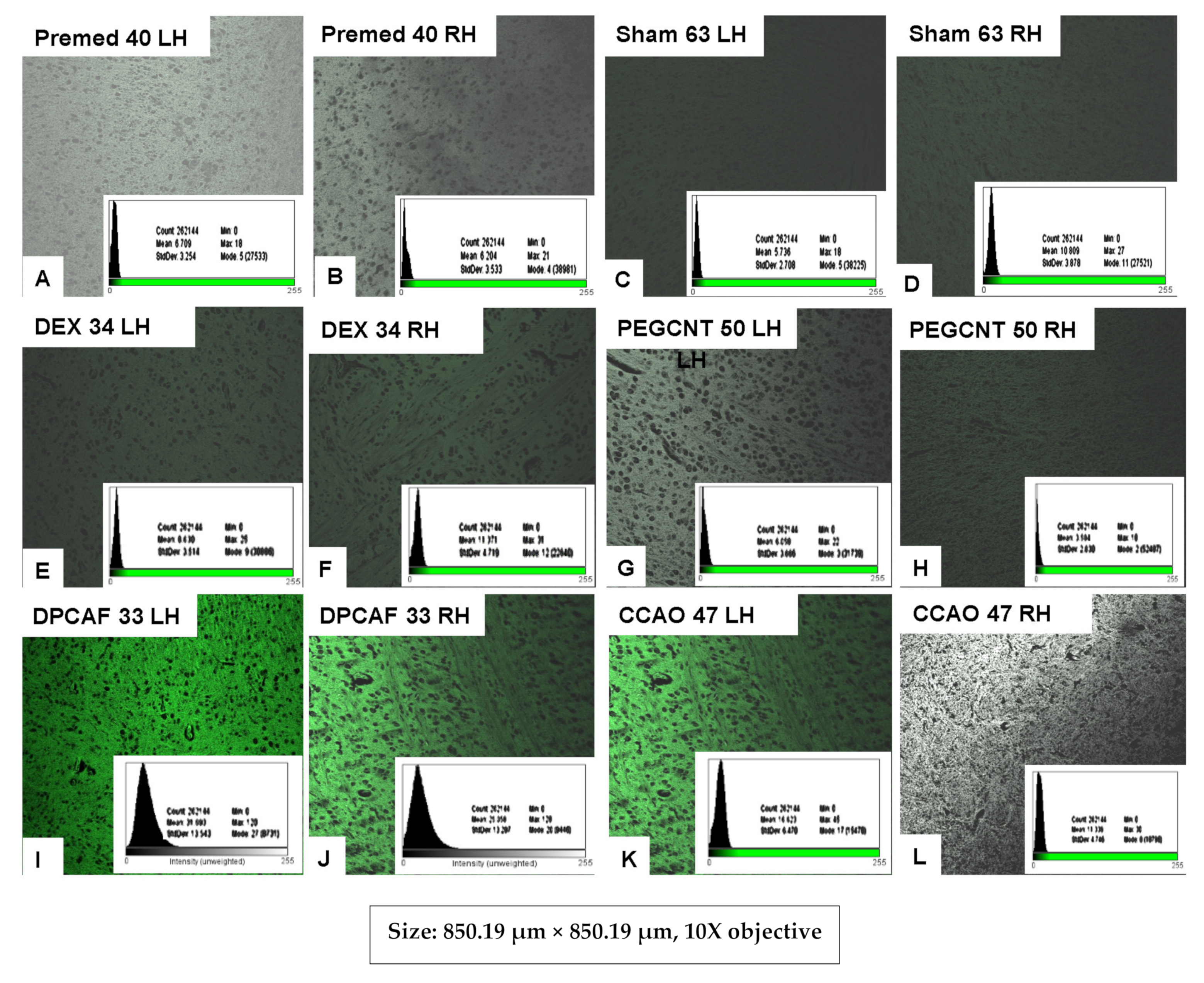 Pharmaceutics 13 01357 g012