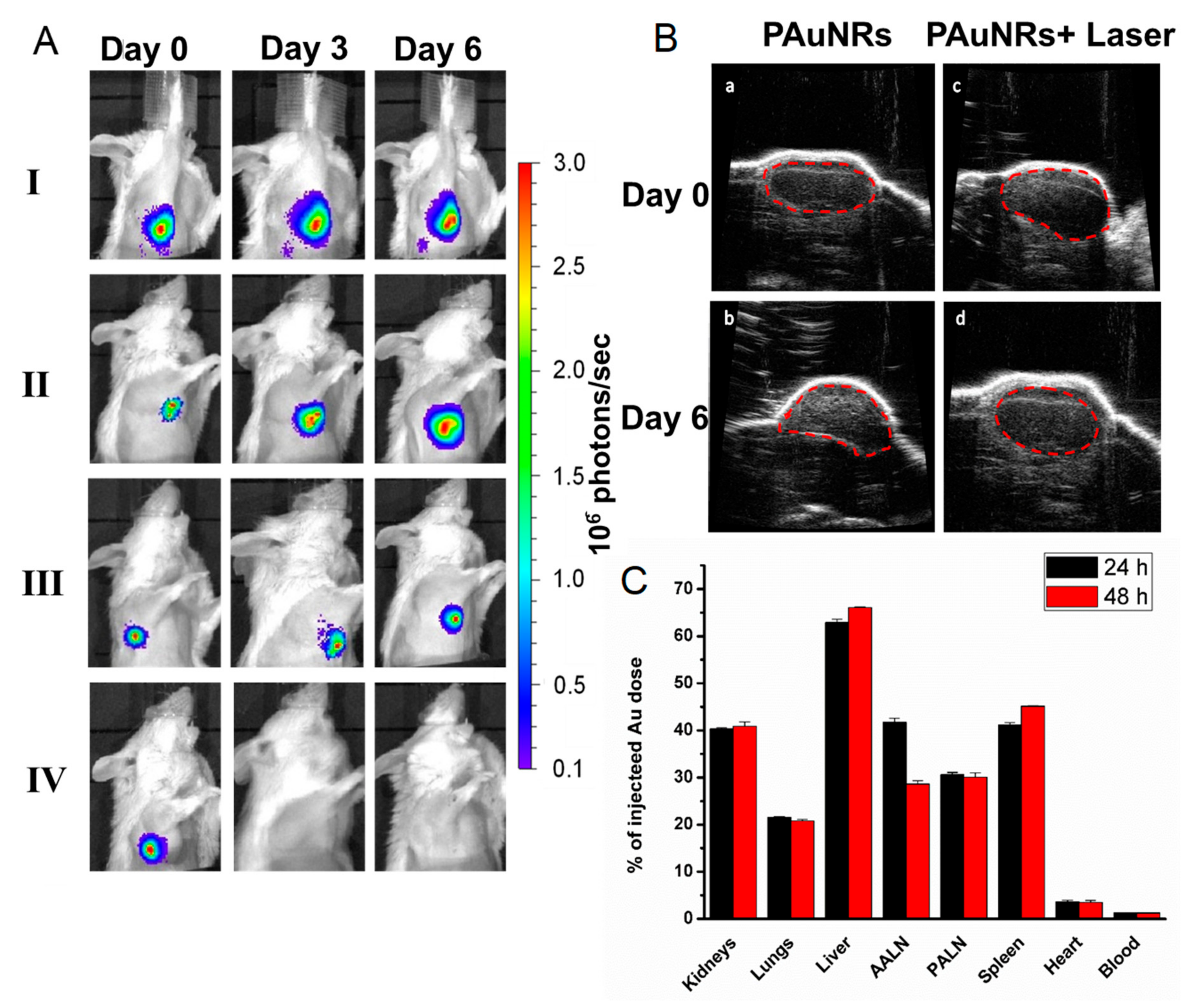 Pharmaceutics 13 01359 g003