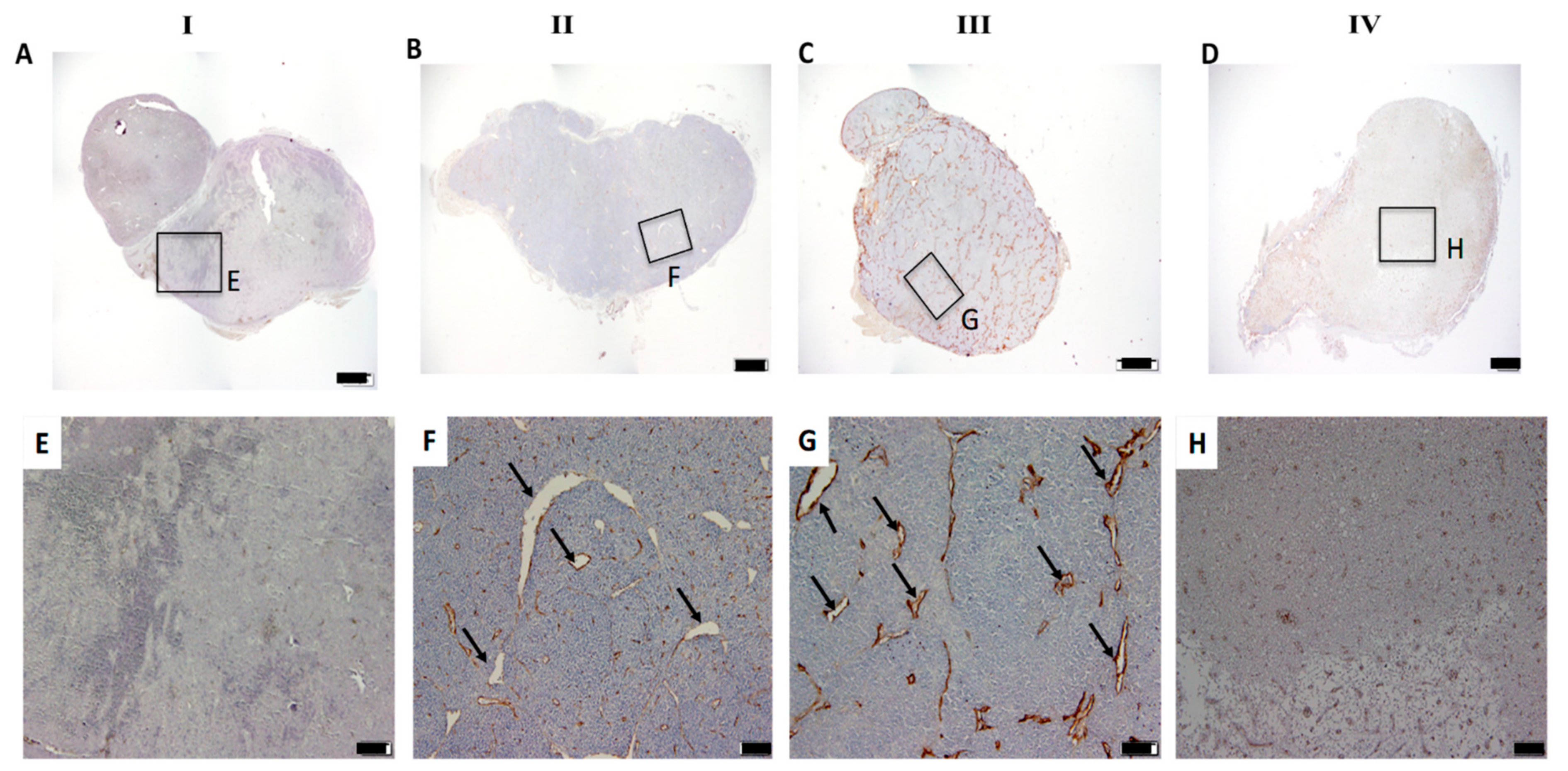 Pharmaceutics 13 01359 g004