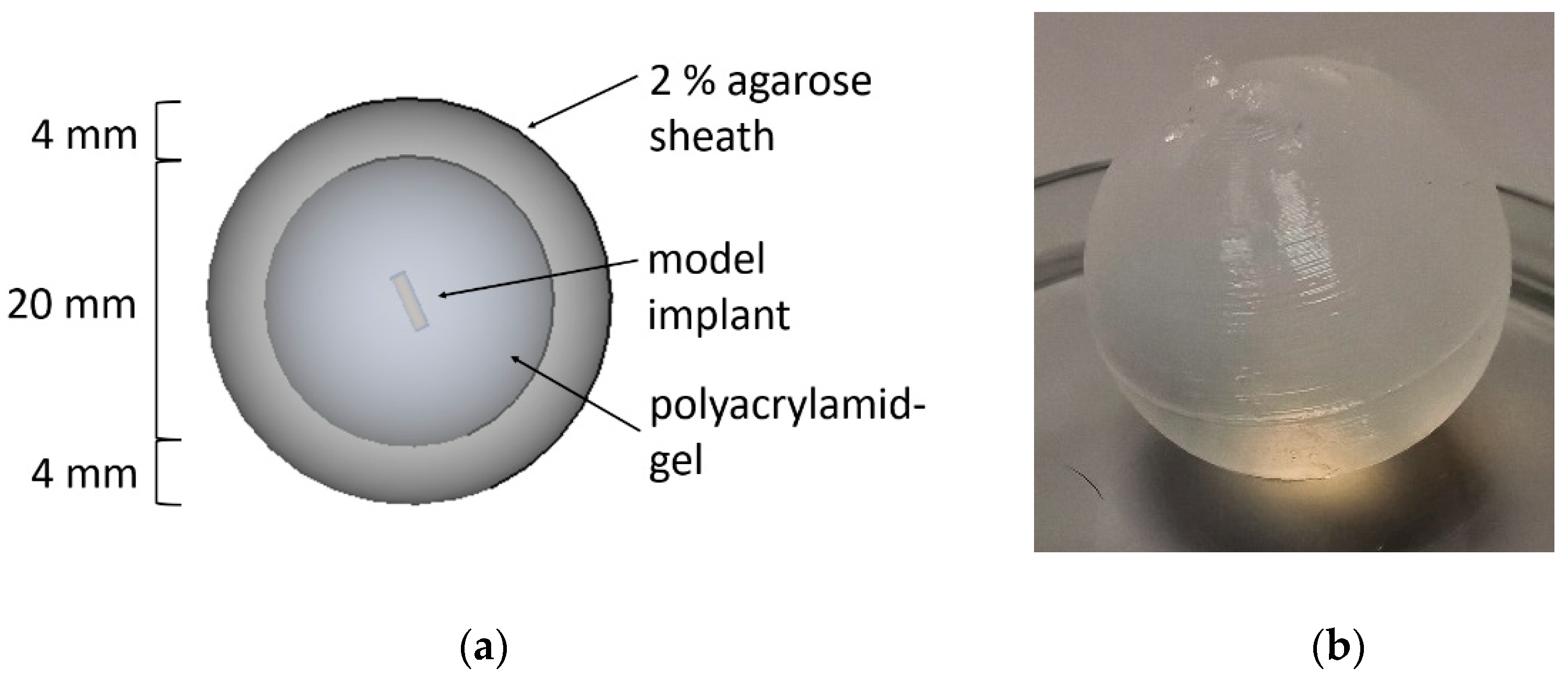 Pharmaceutics 13 01394 g004