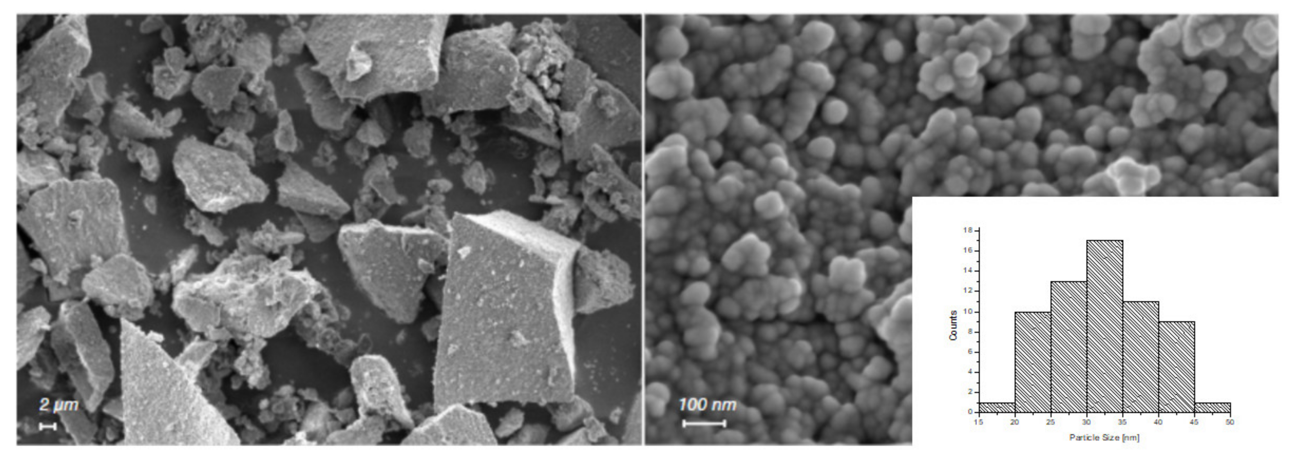 Pharmaceutics 13 01426 g001