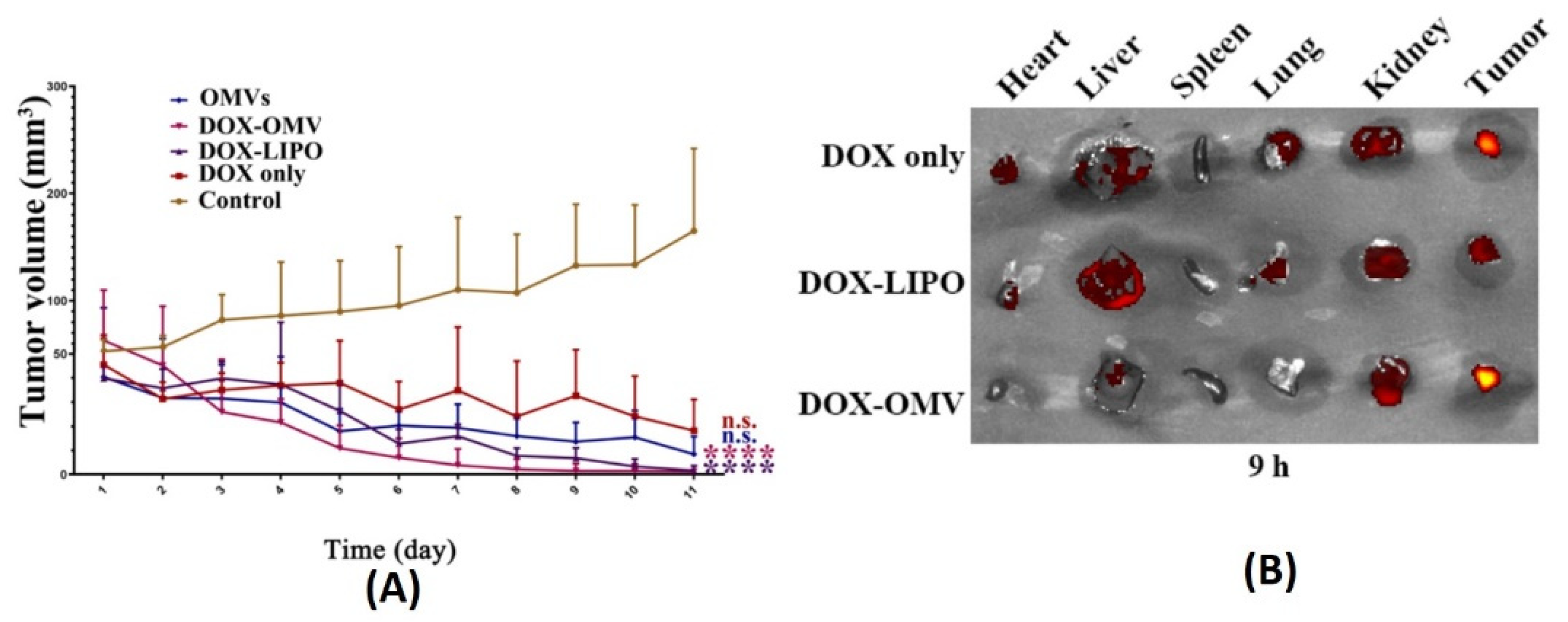 Pharmaceutics 13 01430 g011
