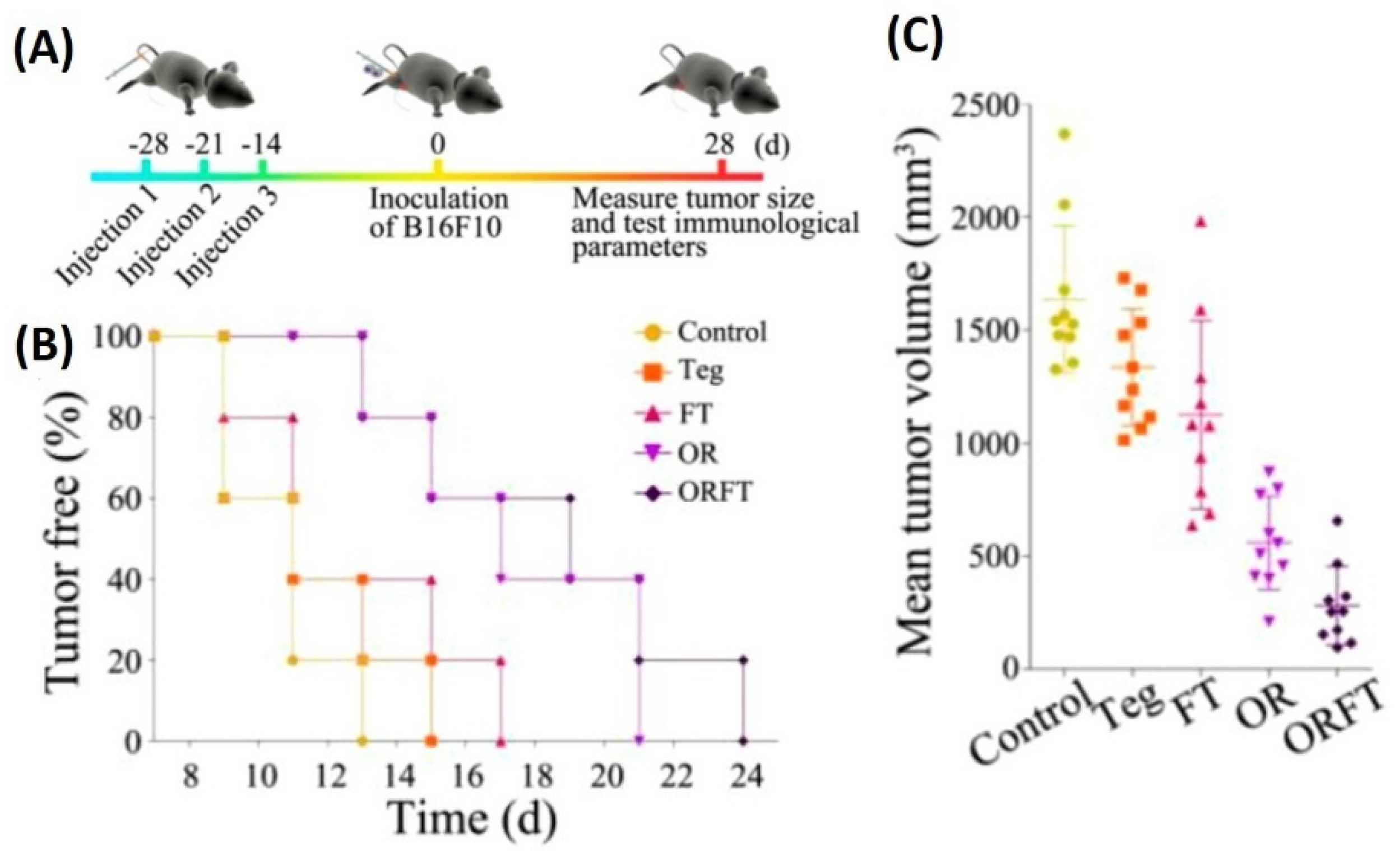 Pharmaceutics 13 01430 g012