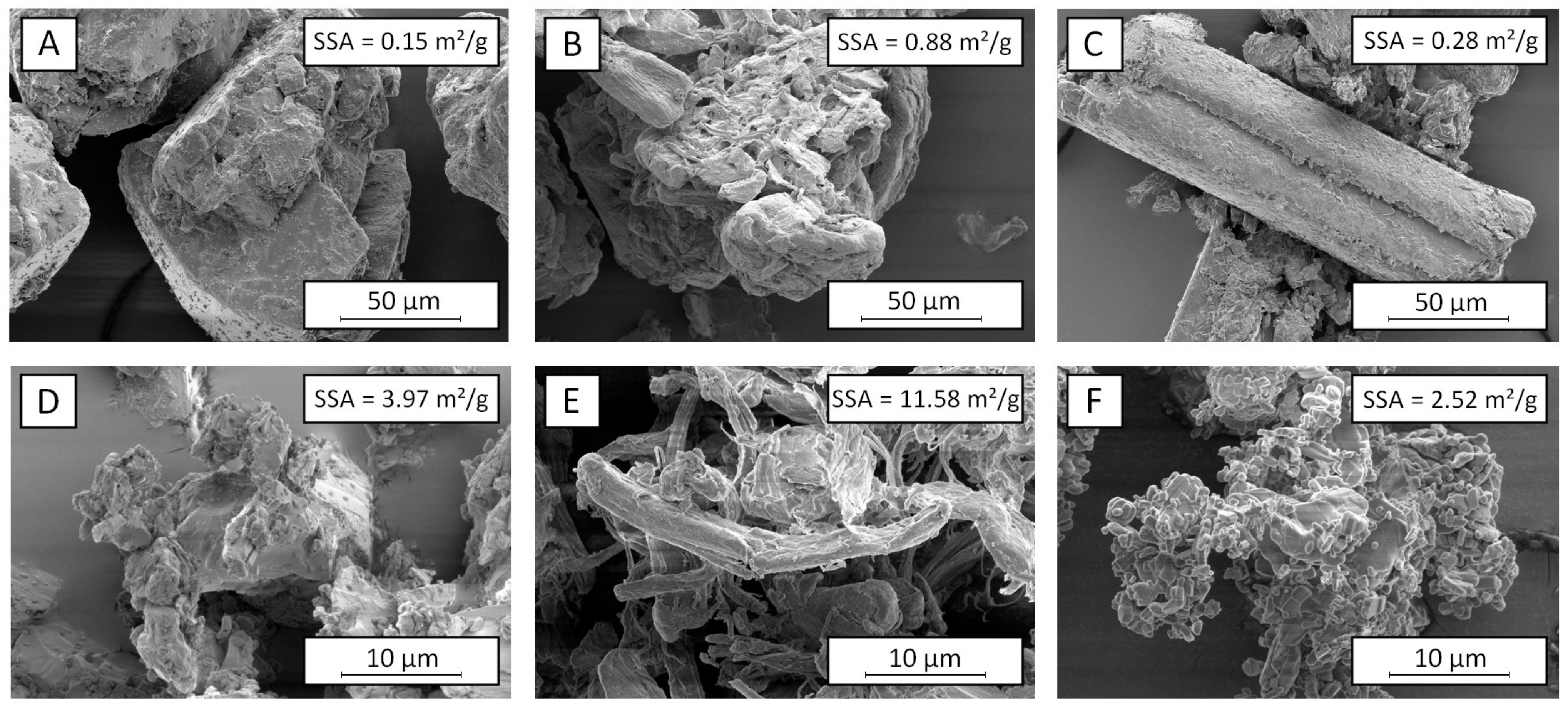 Pharmaceutics 13 01434 g002