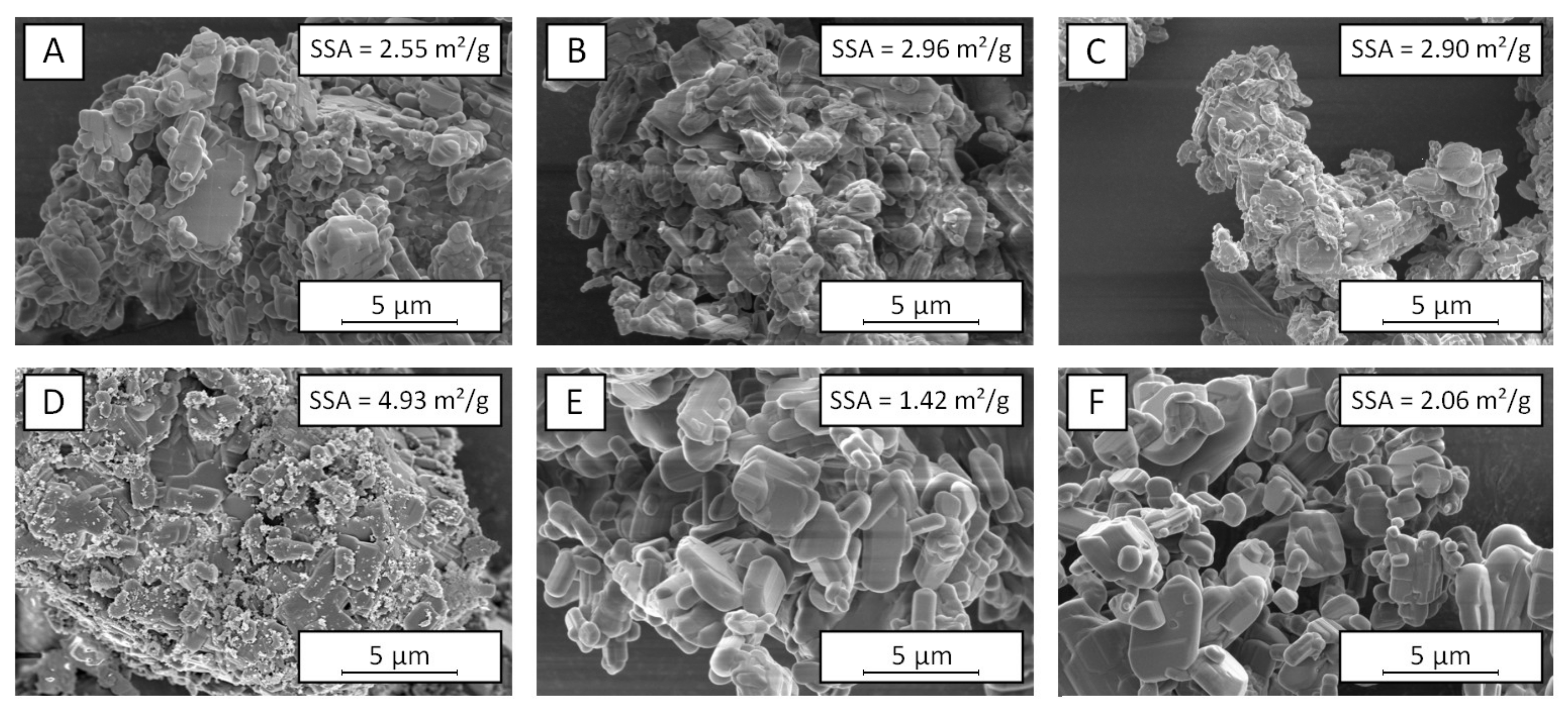 Pharmaceutics 13 01434 g007