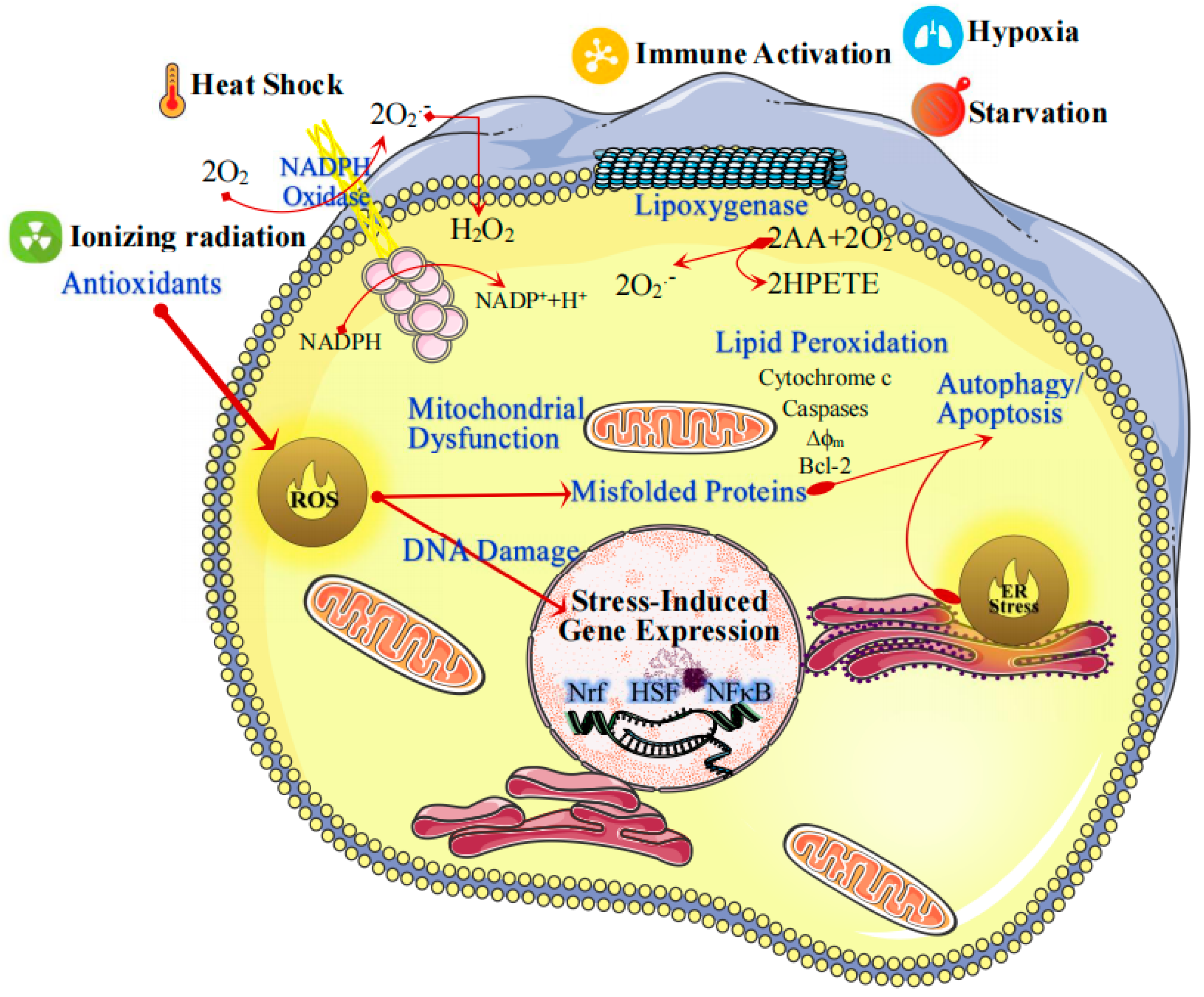Pharmaceutics 13 01452 g001