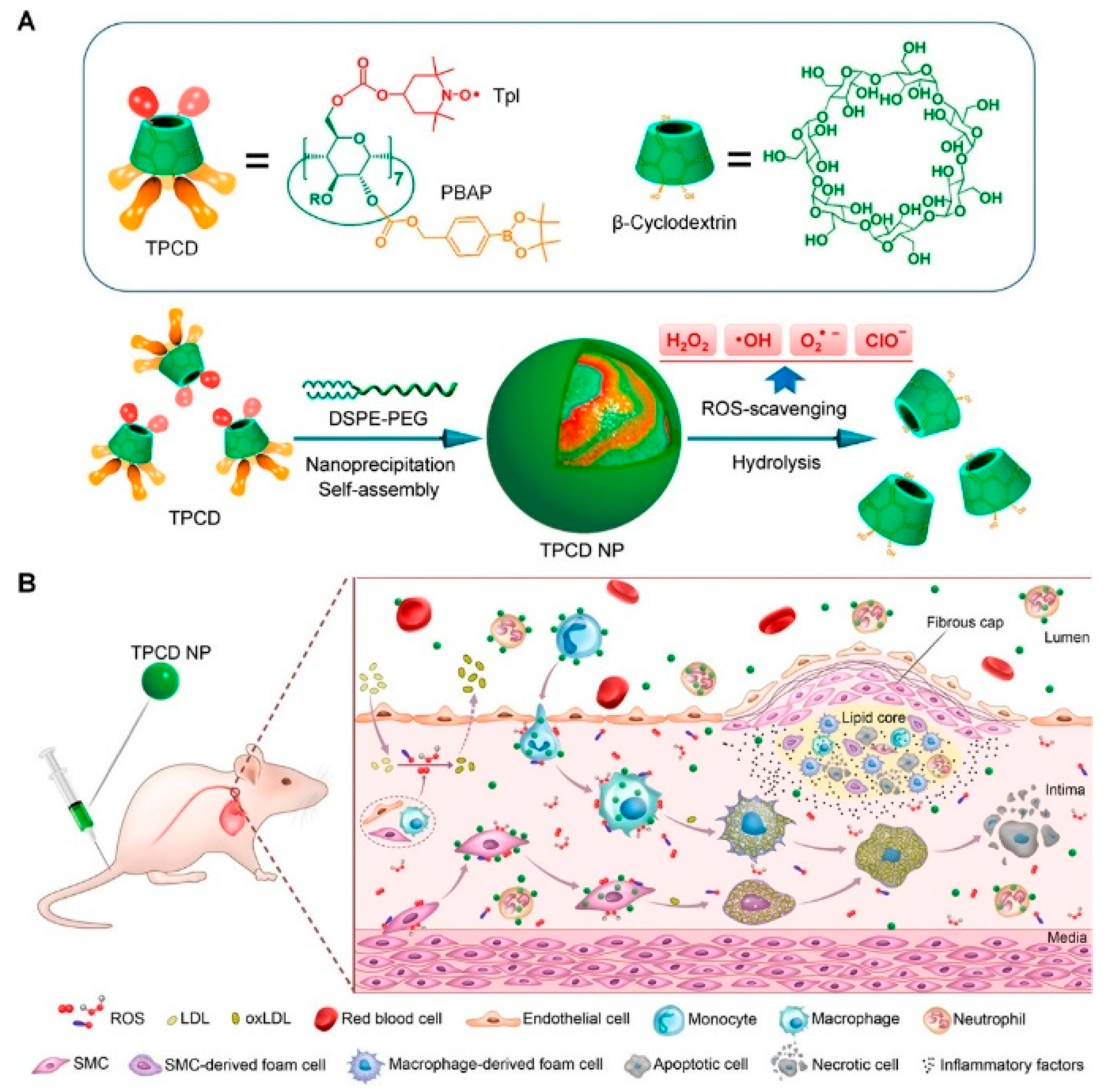 Pharmaceutics 13 01452 g003