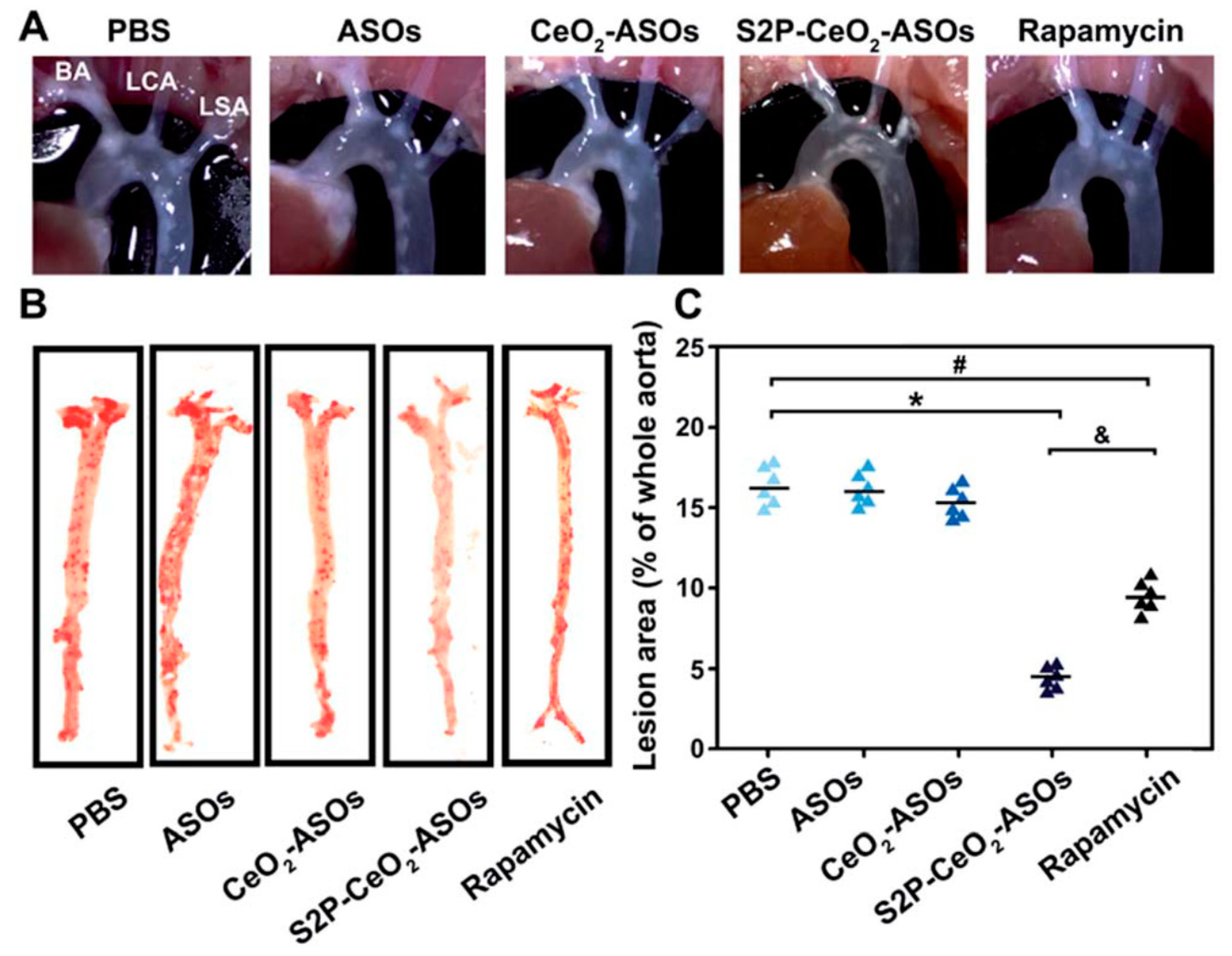 Pharmaceutics 13 01452 g004