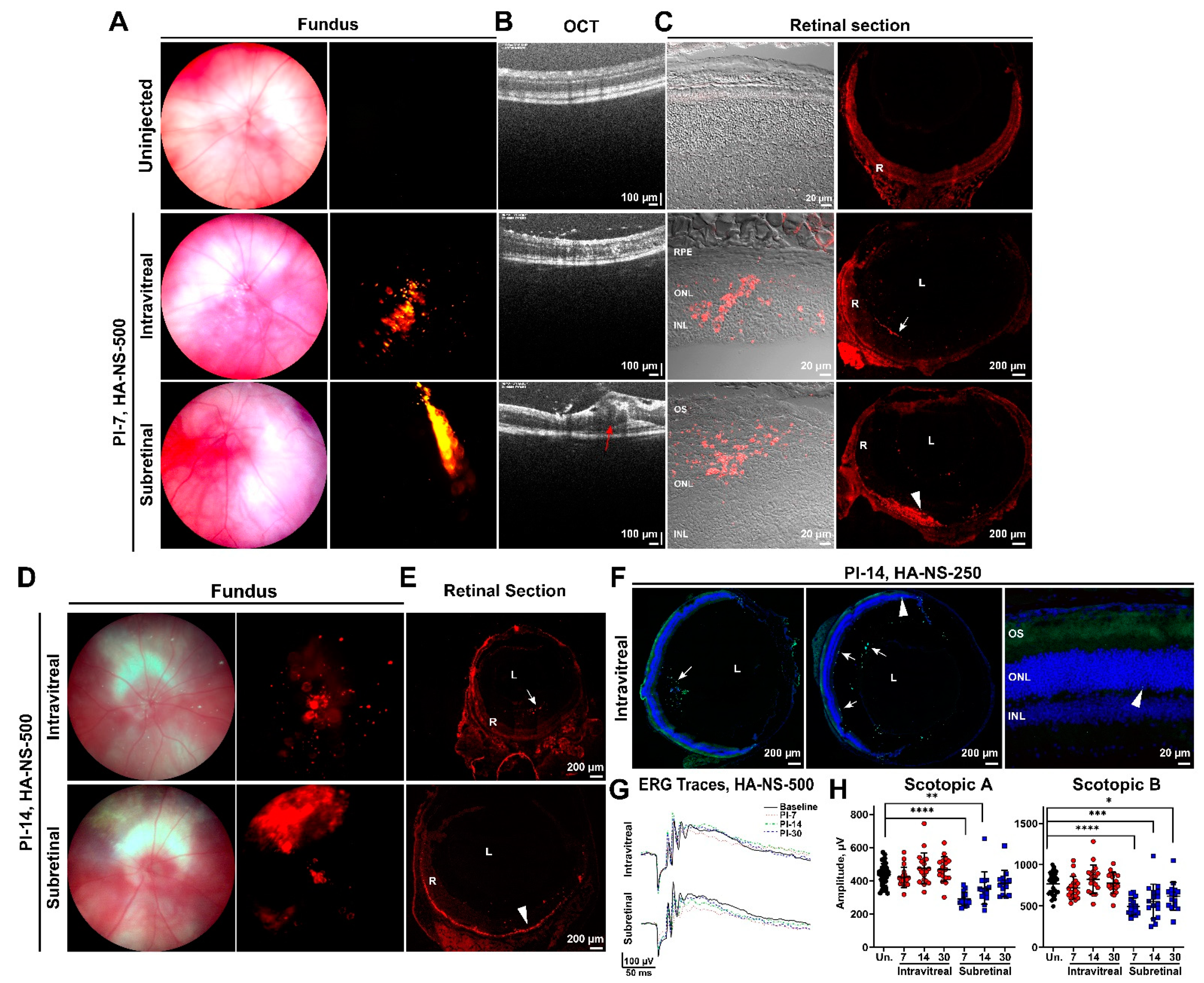 Pharmaceutics 13 01510 g004