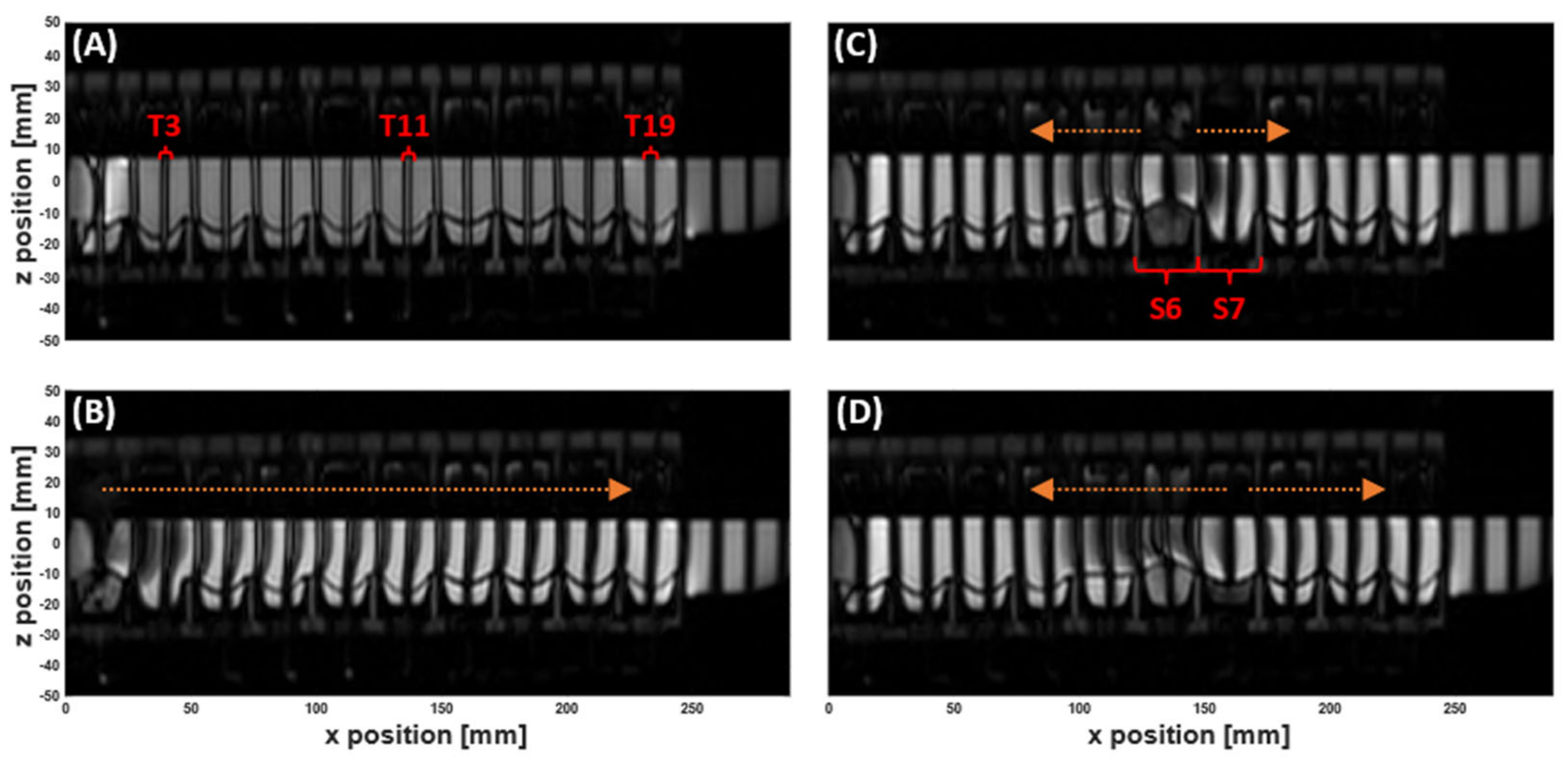 Pharmaceutics 13 01545 g002