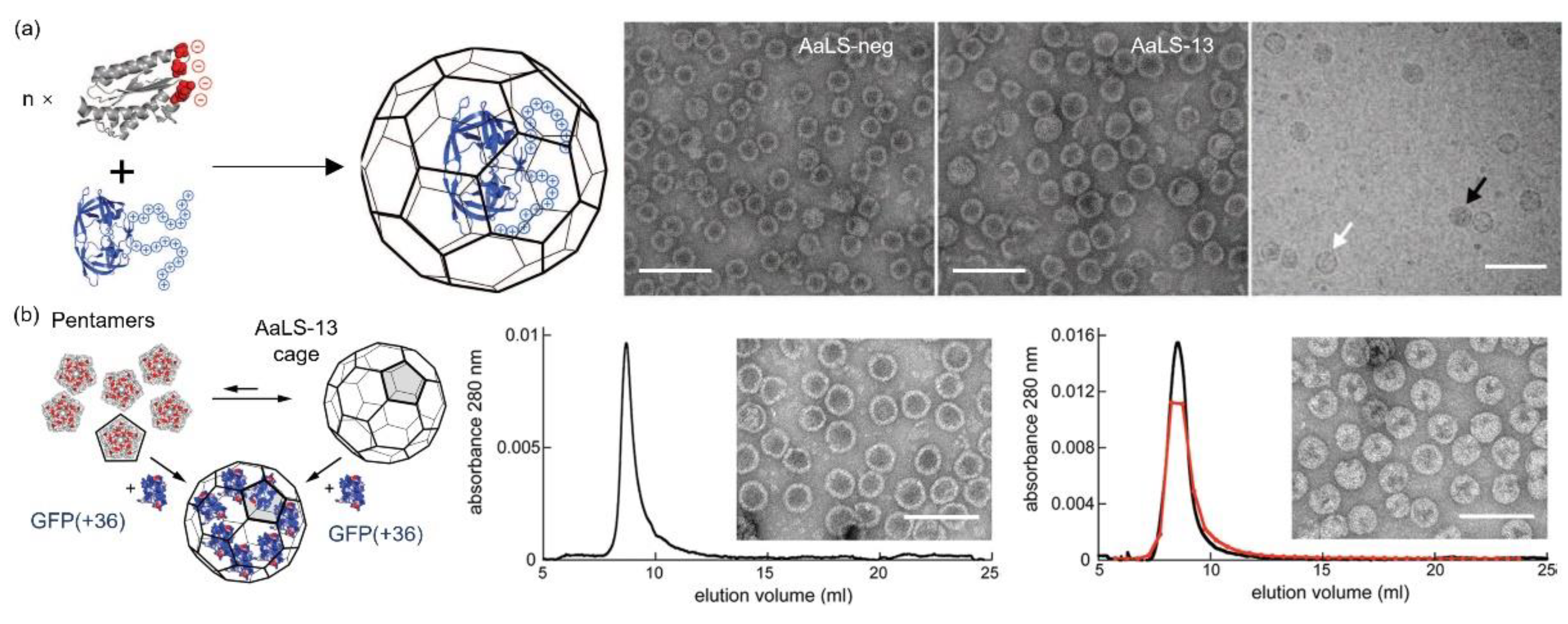 Pharmaceutics 13 01551 g006 Pharmaceutics 13 01551 g006