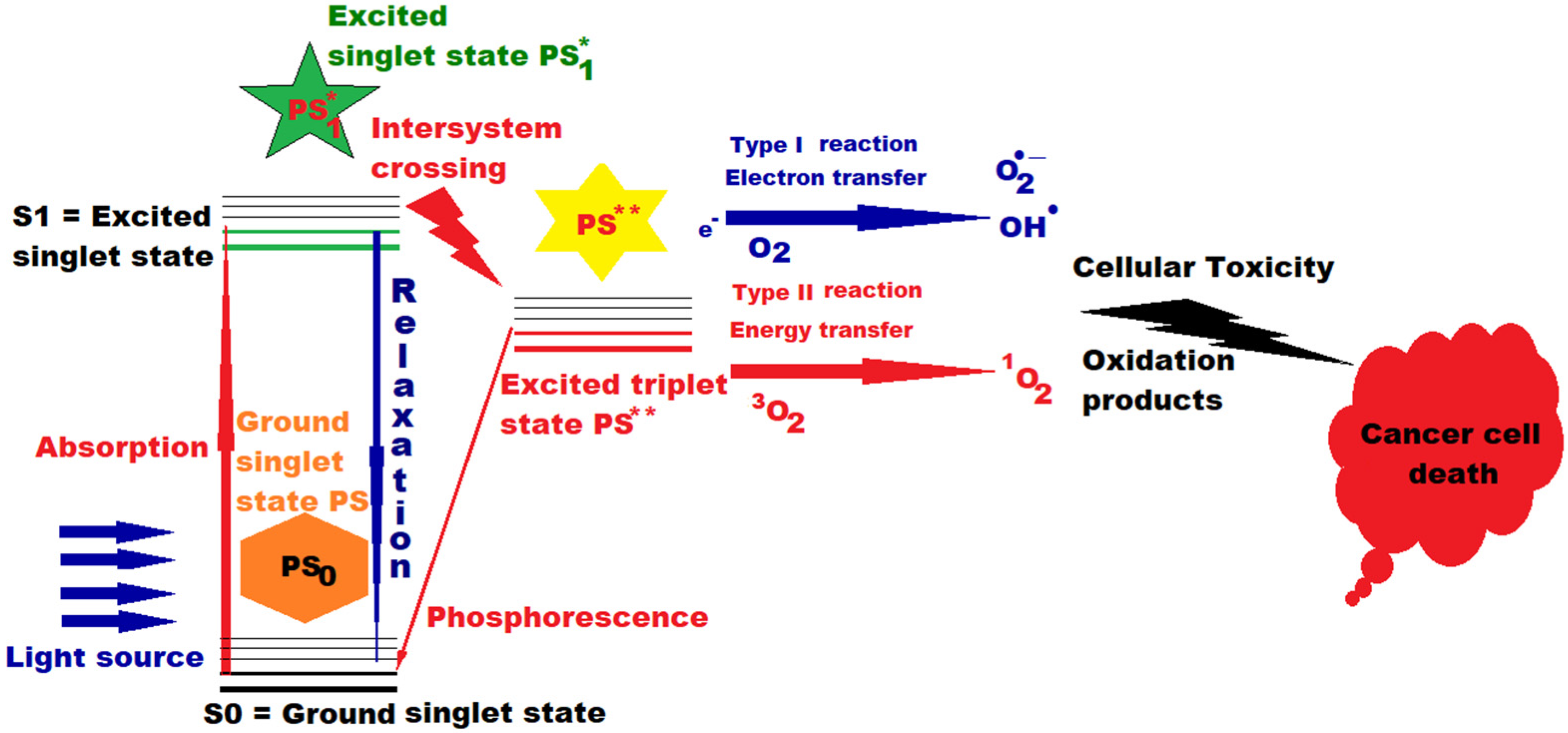 Pharmaceutics 13 01562 g001