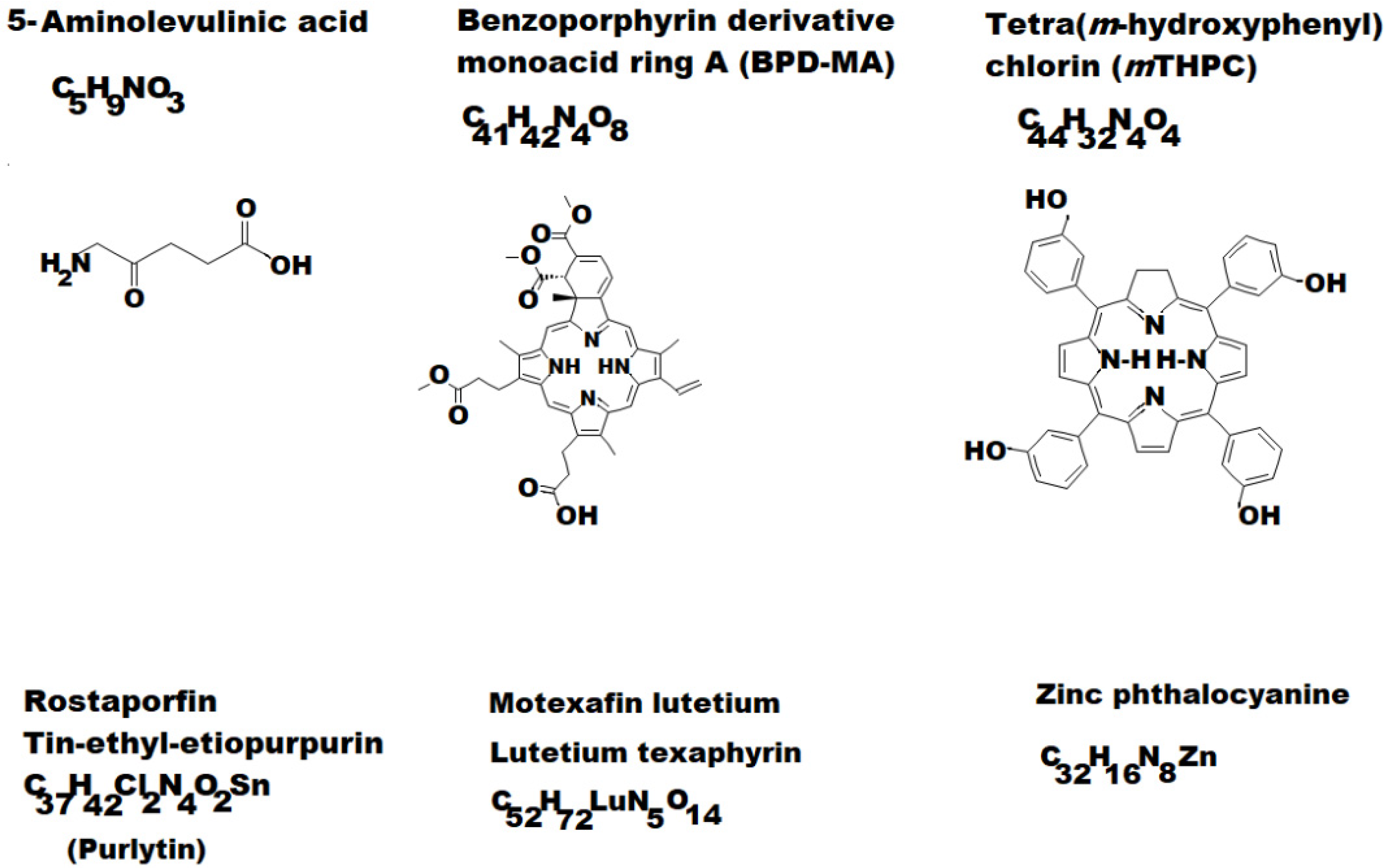 Pharmaceutics 13 01562 g002