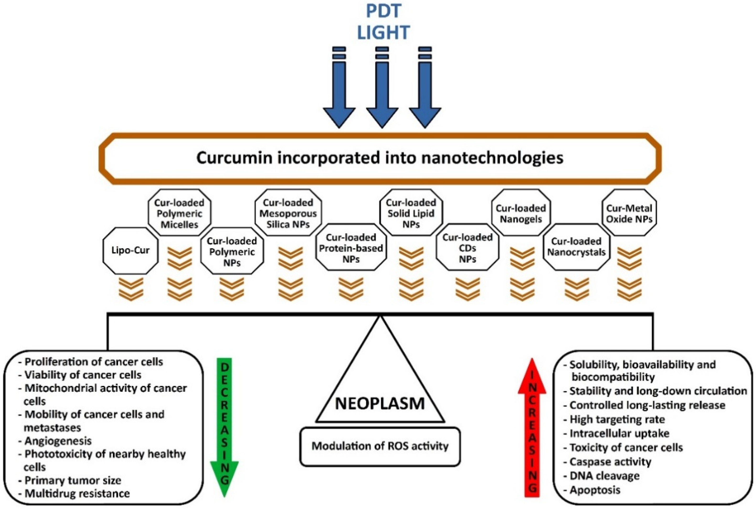 Pharmaceutics 13 01562 g004