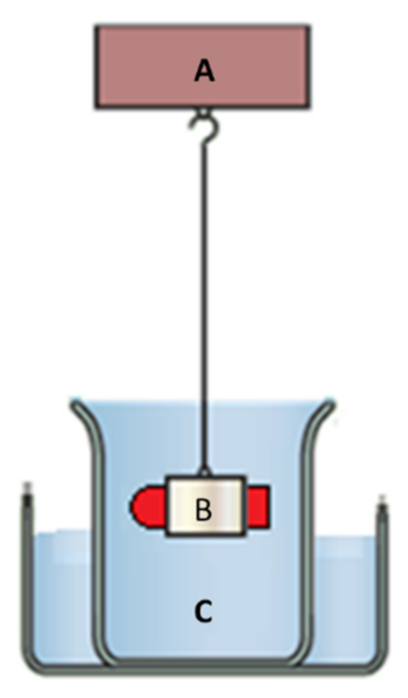 Pharmaceutics 13 01571 g003