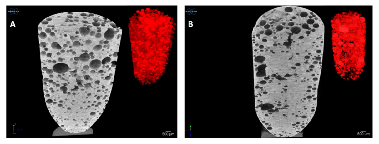 Pharmaceutics 13 01571 g008