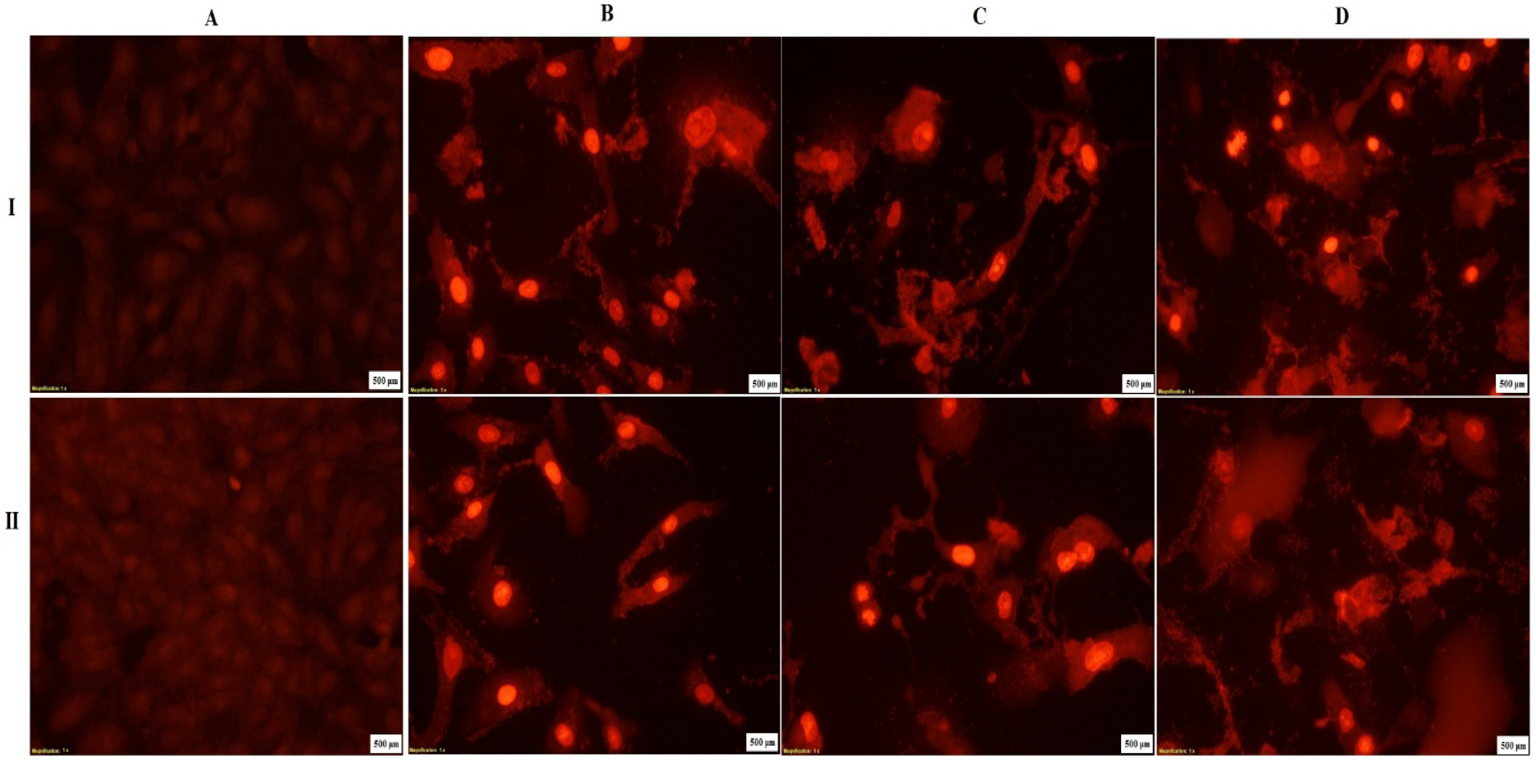Pharmaceutics 13 01595 g006