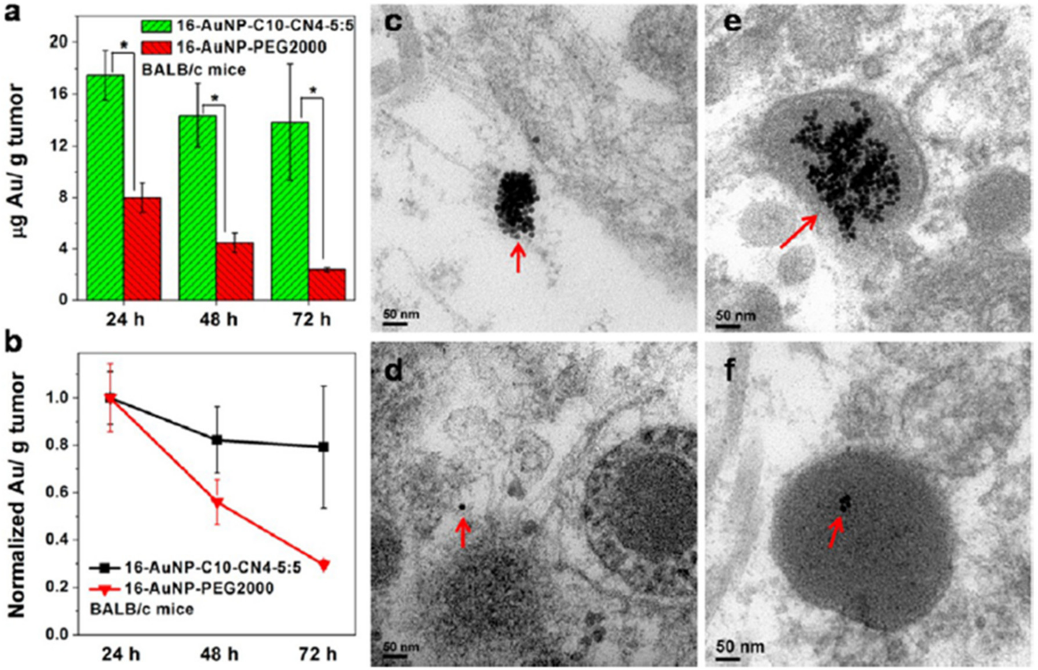 Pharmaceutics 13 01615 g011