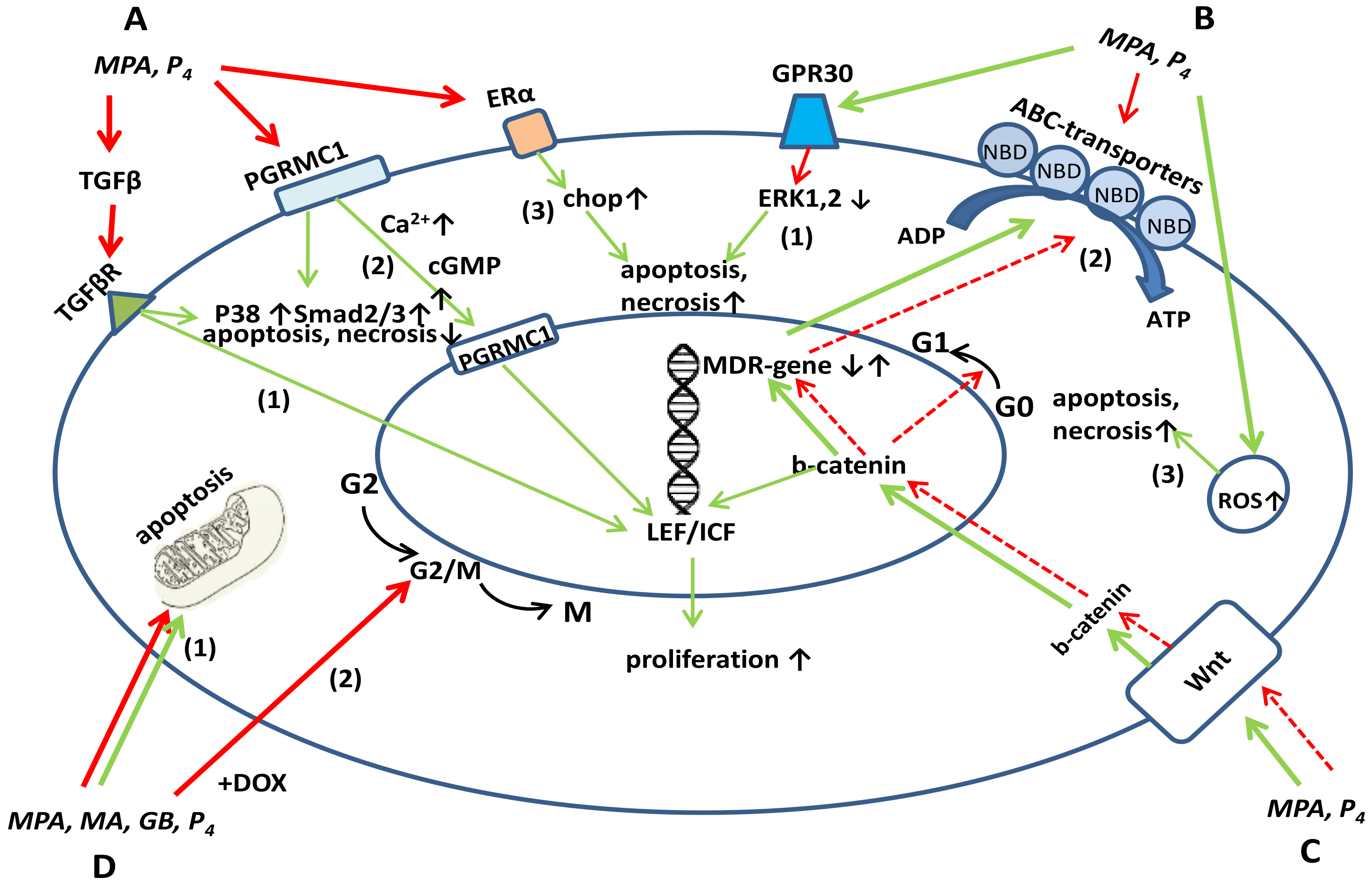 Pharmaceutics 13 01616 g001