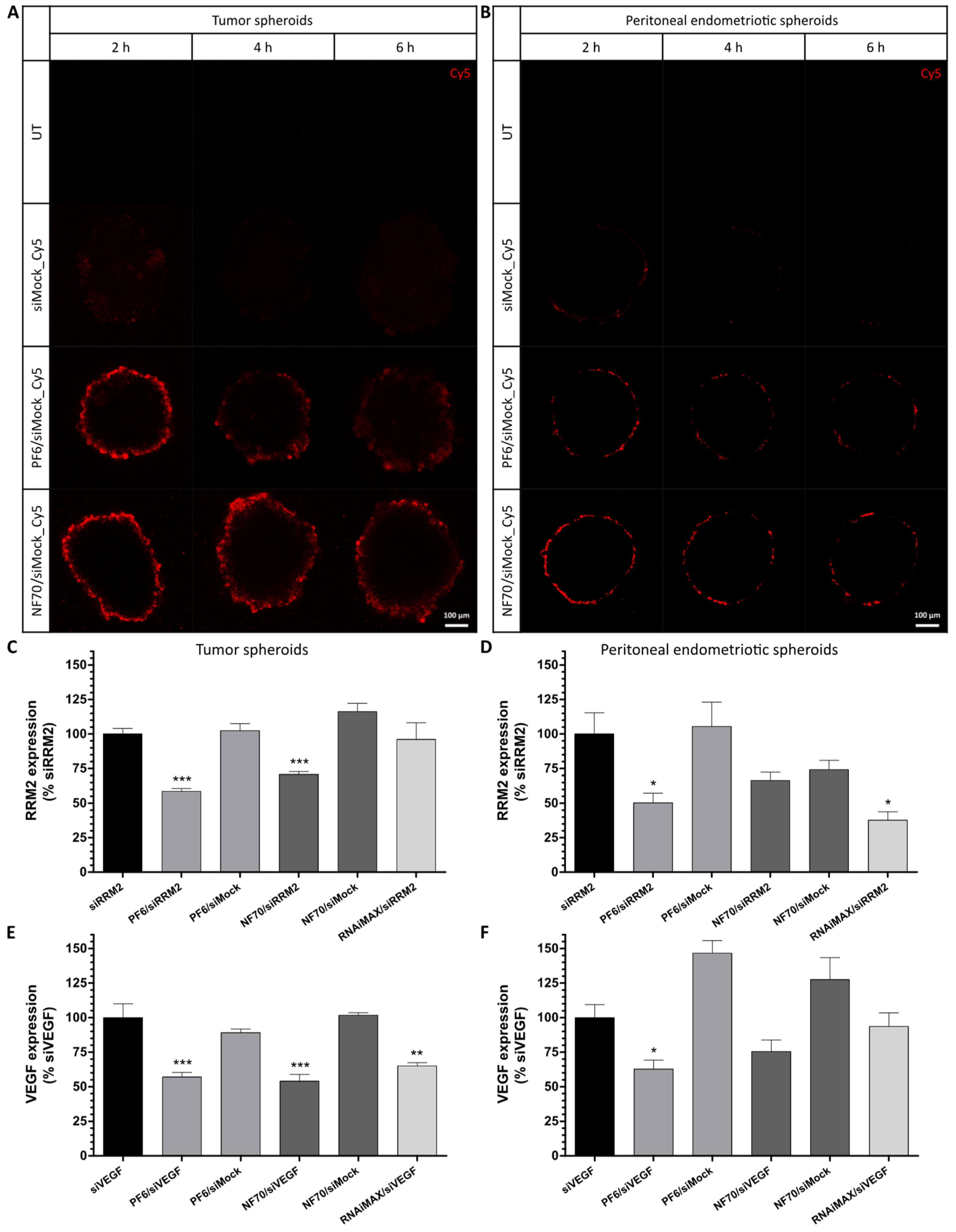 Pharmaceutics 13 01618 g004
