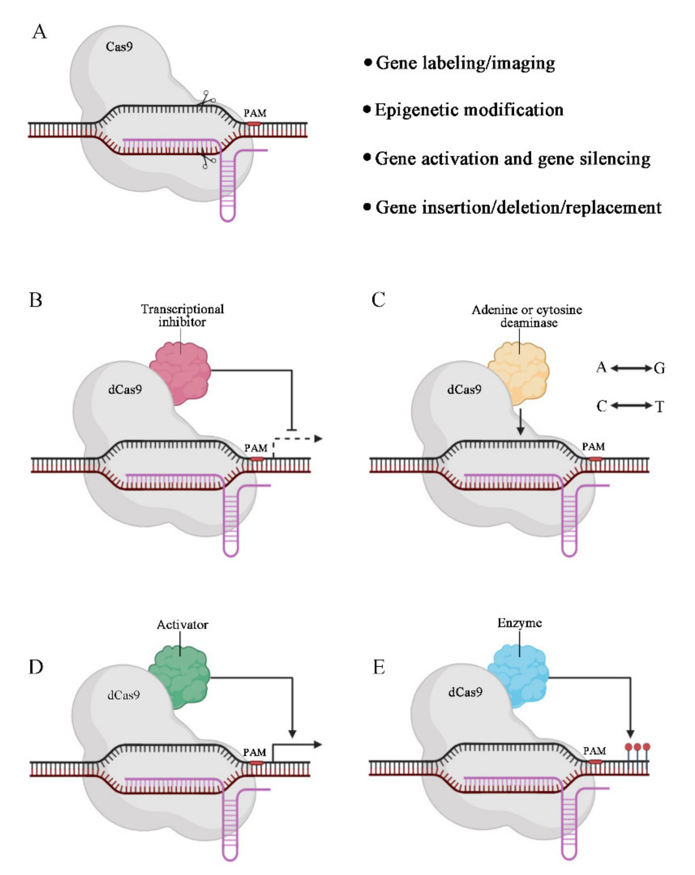 Pharmaceutics 13 01649 g001