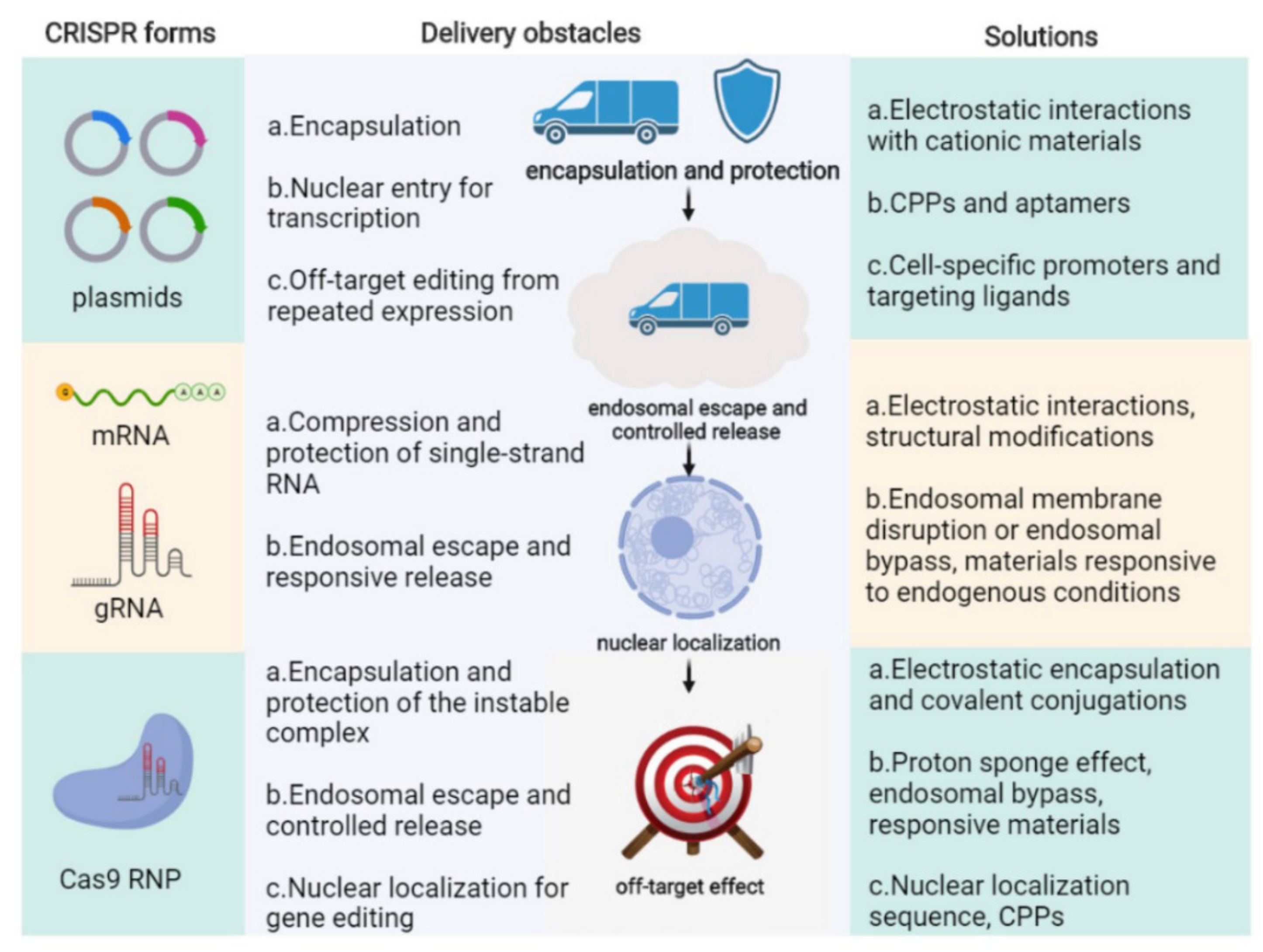 Pharmaceutics 13 01649 g003