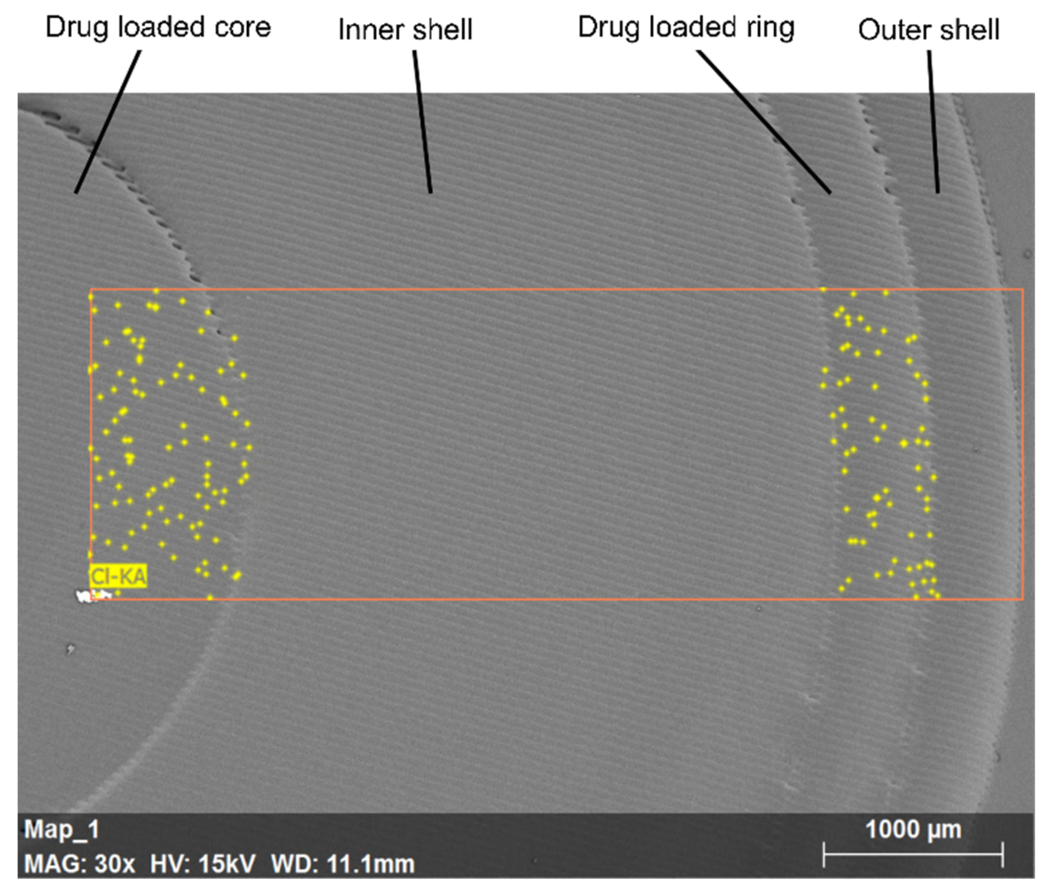 Pharmaceutics 13 01679 g007