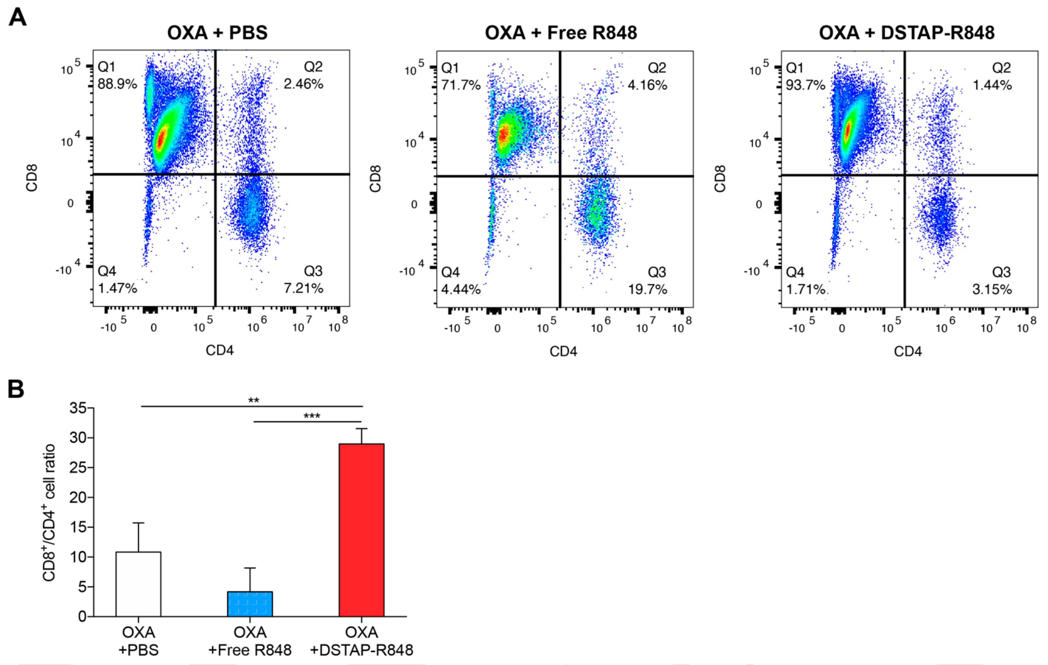 Pharmaceutics 13 01696 g005