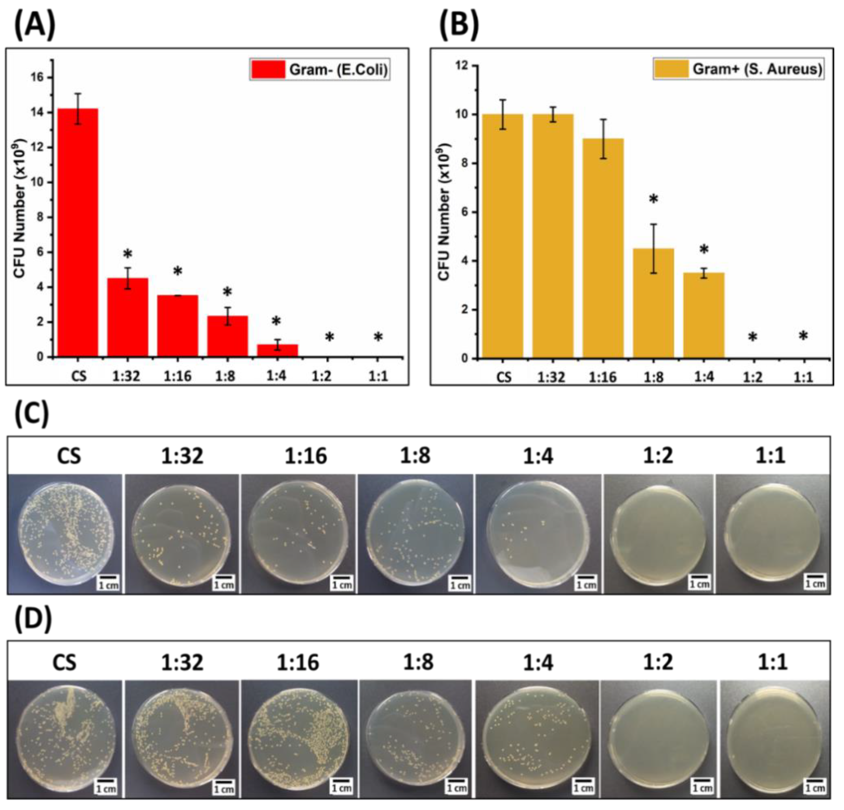 Pharmaceutics 13 01702 g006