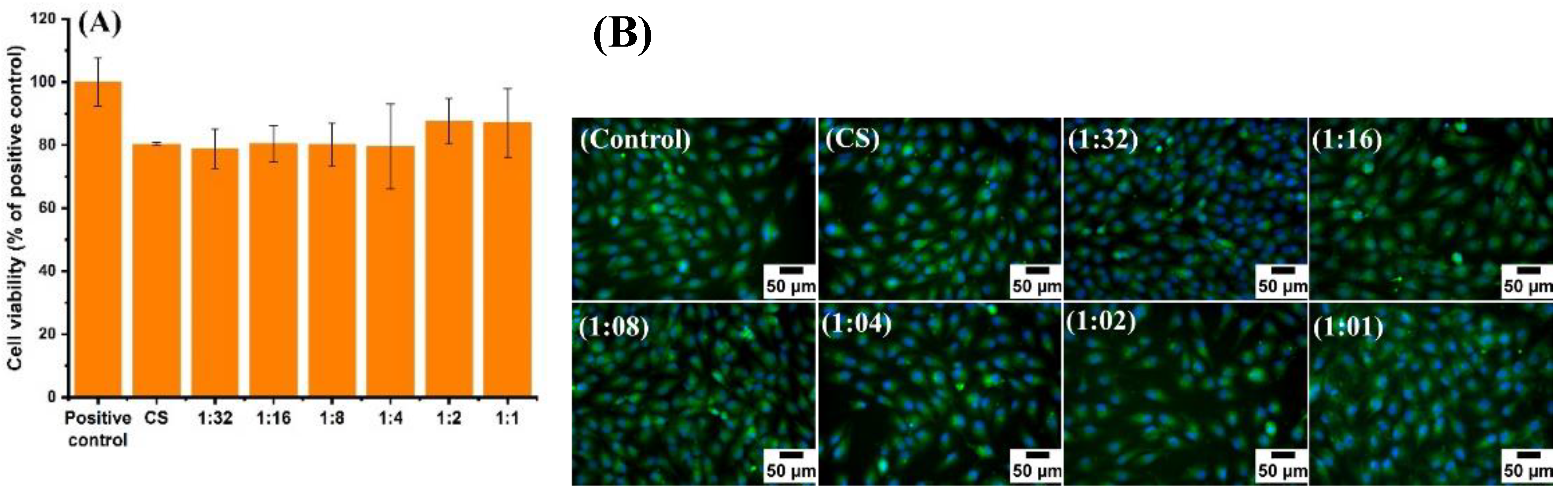 Pharmaceutics 13 01702 g007