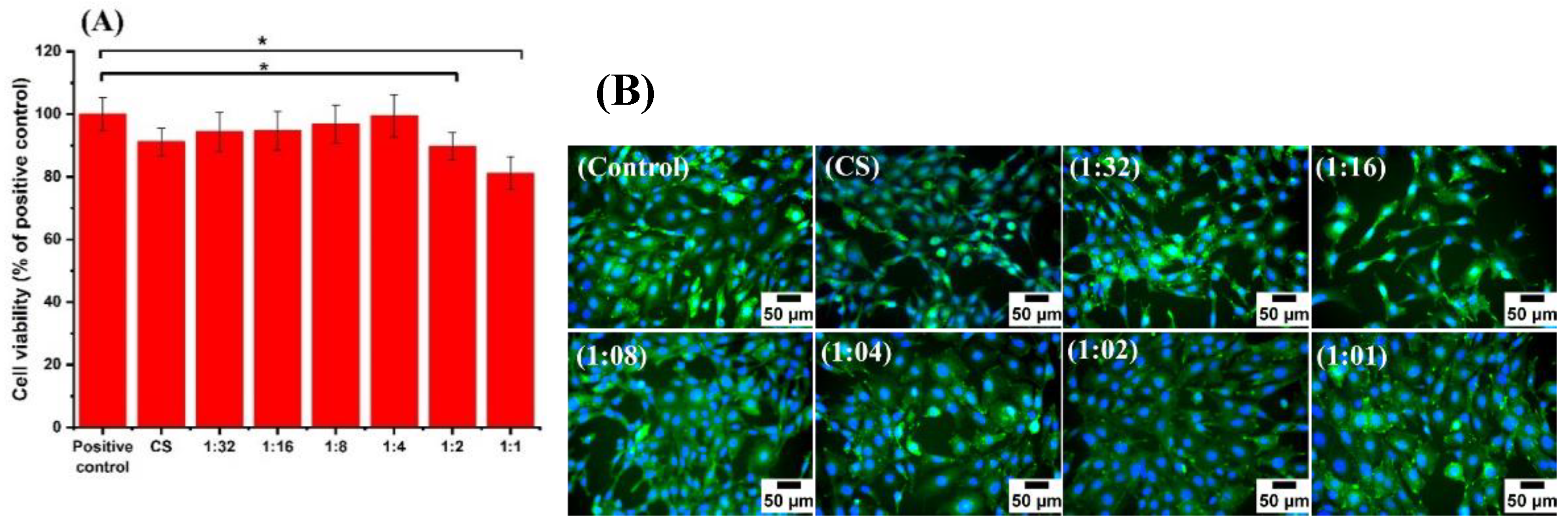 Pharmaceutics 13 01702 g008