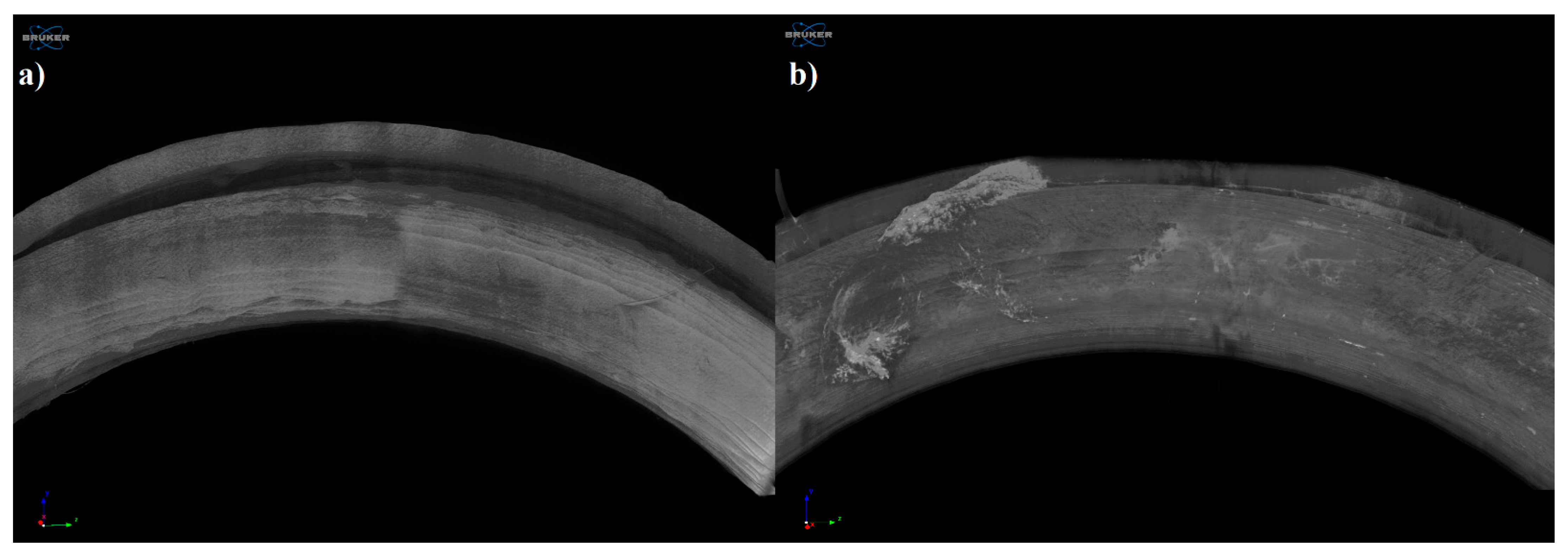 Pharmaceutics 13 01714 g008 Pharmaceutics 13 01714 g008