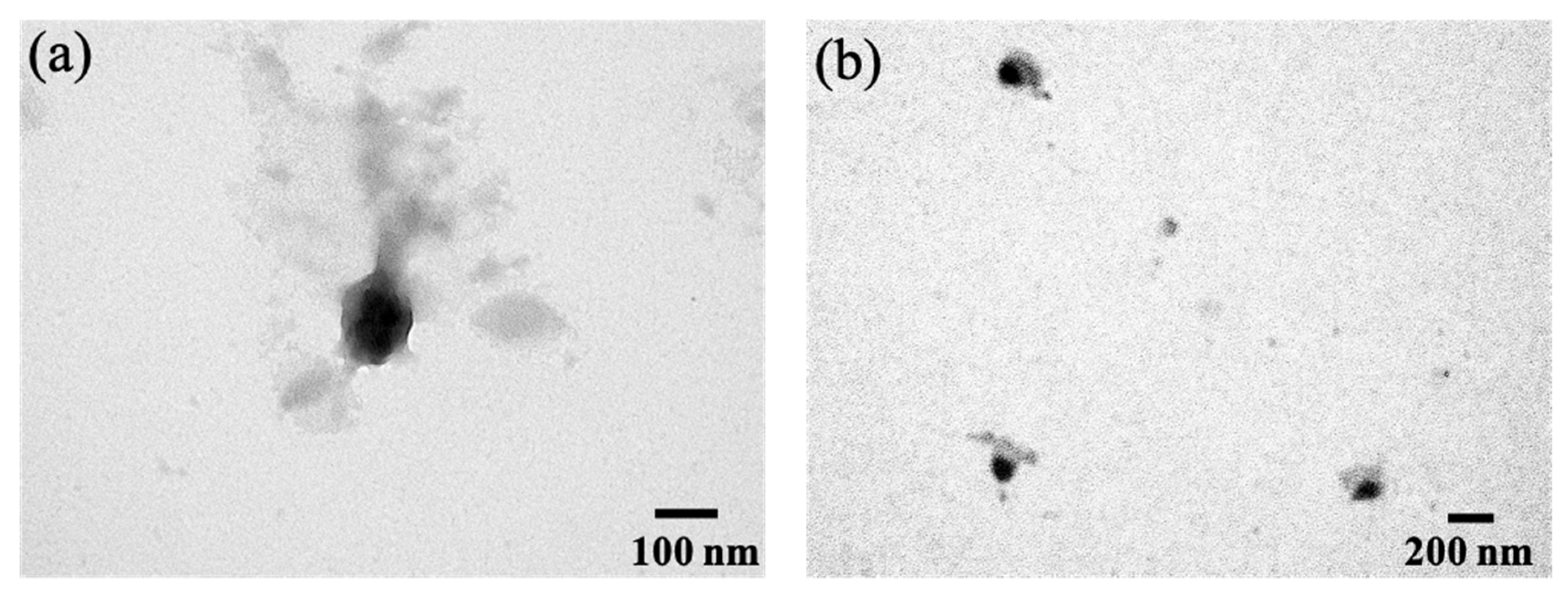Pharmaceutics 13 01728 g005