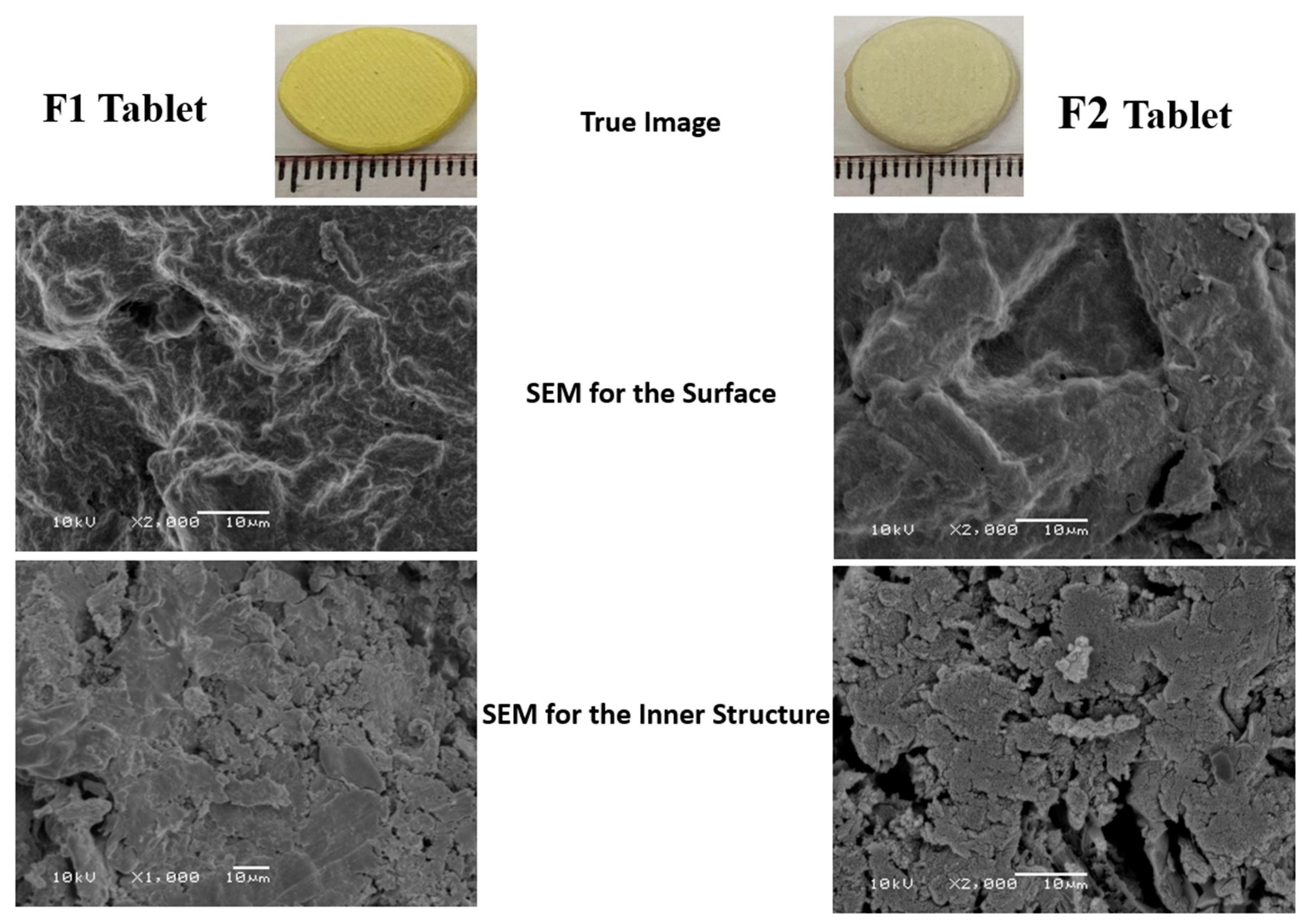 Pharmaceutics 13 01733 g002