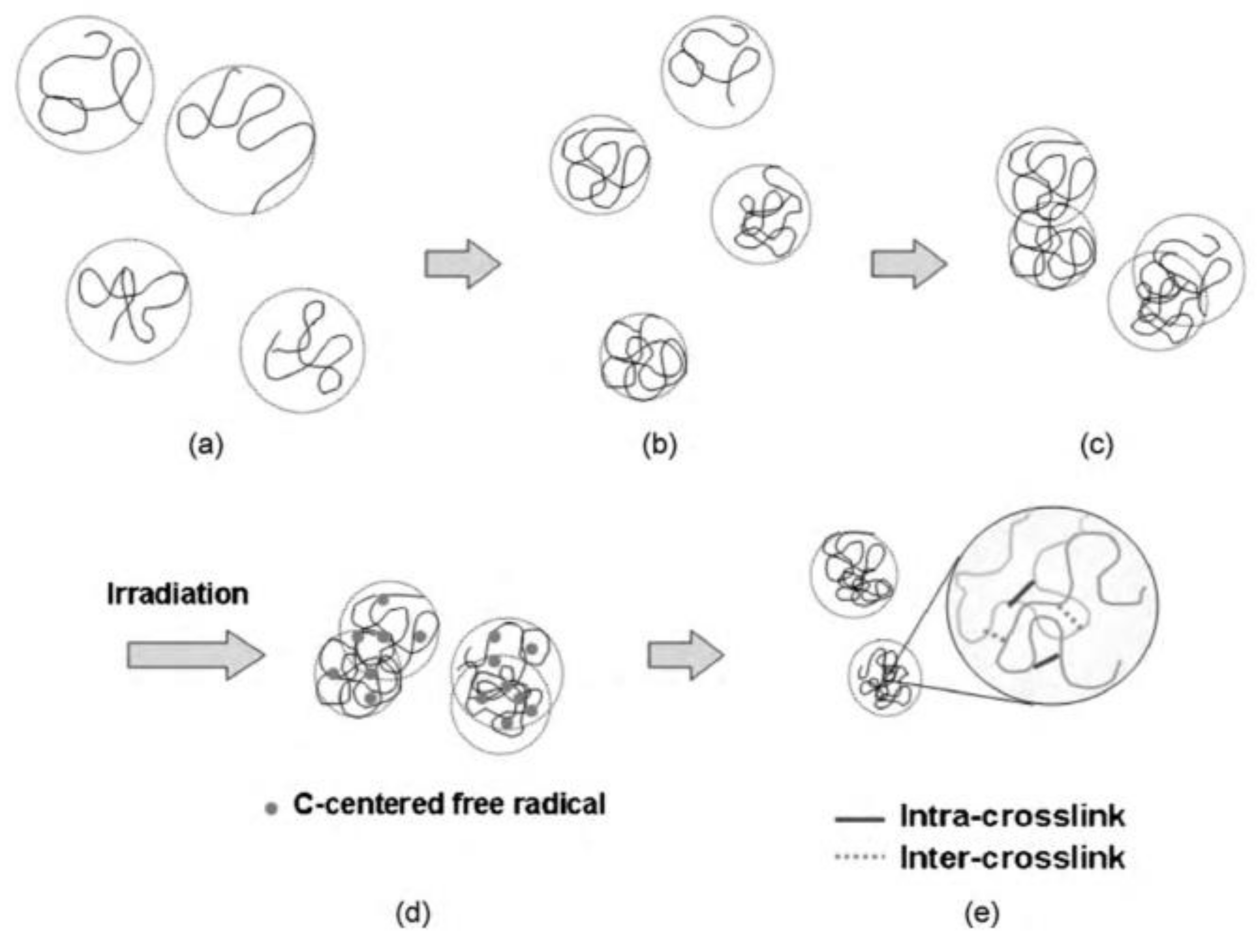Pharmaceutics 13 01765 g004
