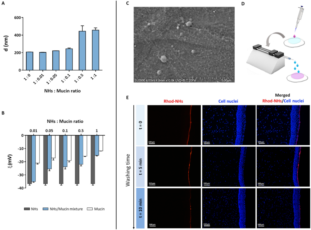 Pharmaceutics 13 01781 g003