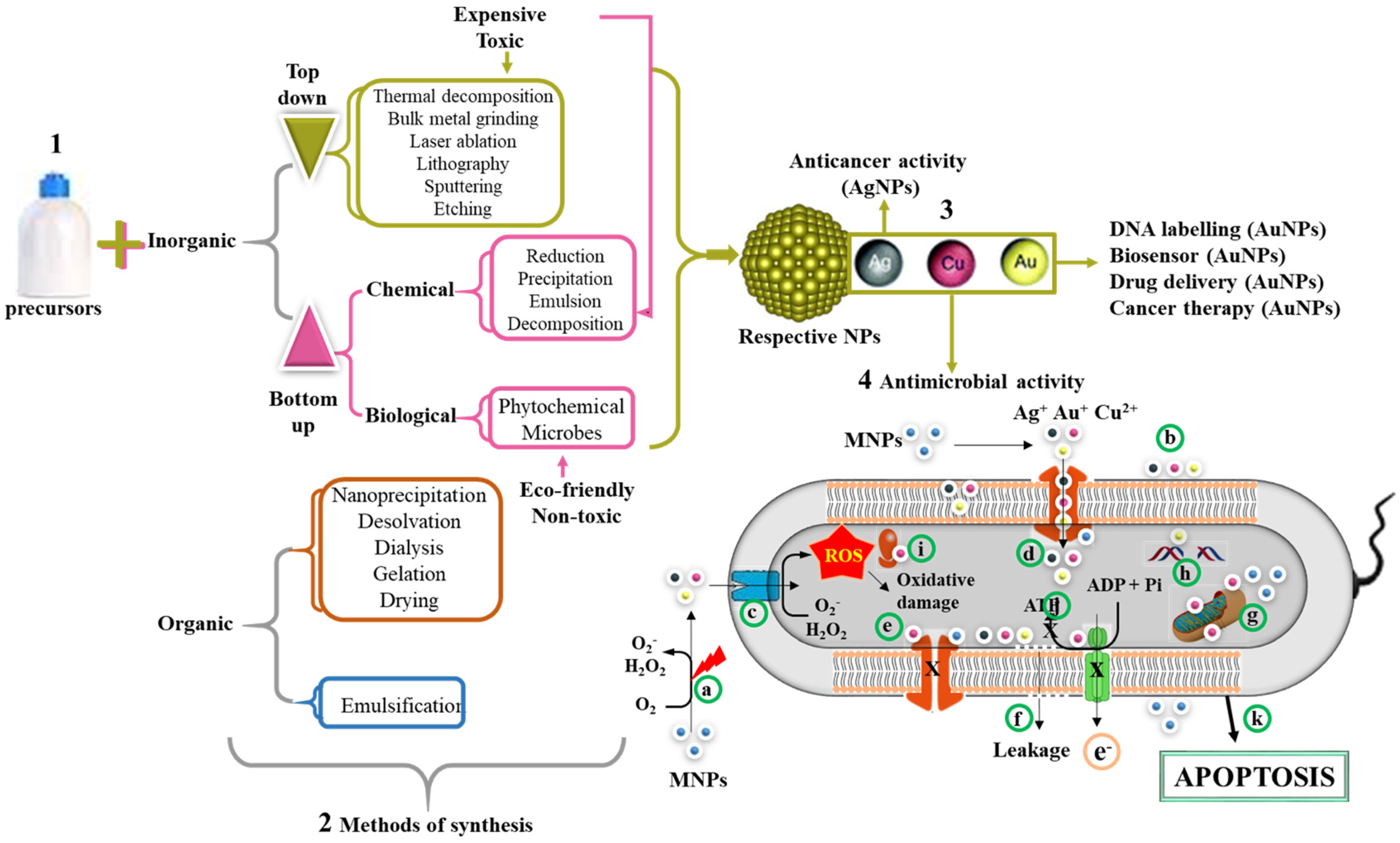 Pharmaceutics 13 01795 g004 Pharmaceutics 13 01795 g004
